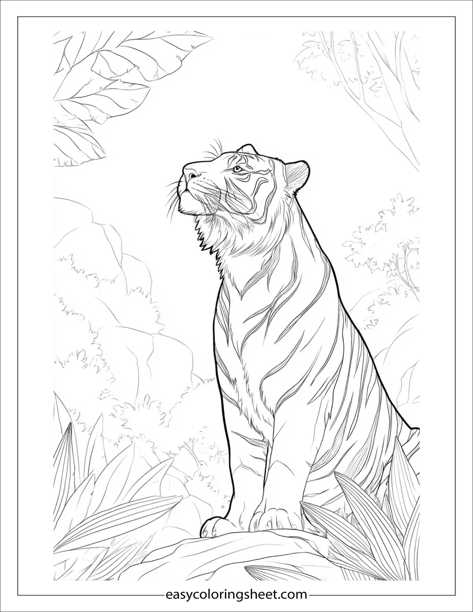 Sher Khan, the tiger, listening closely