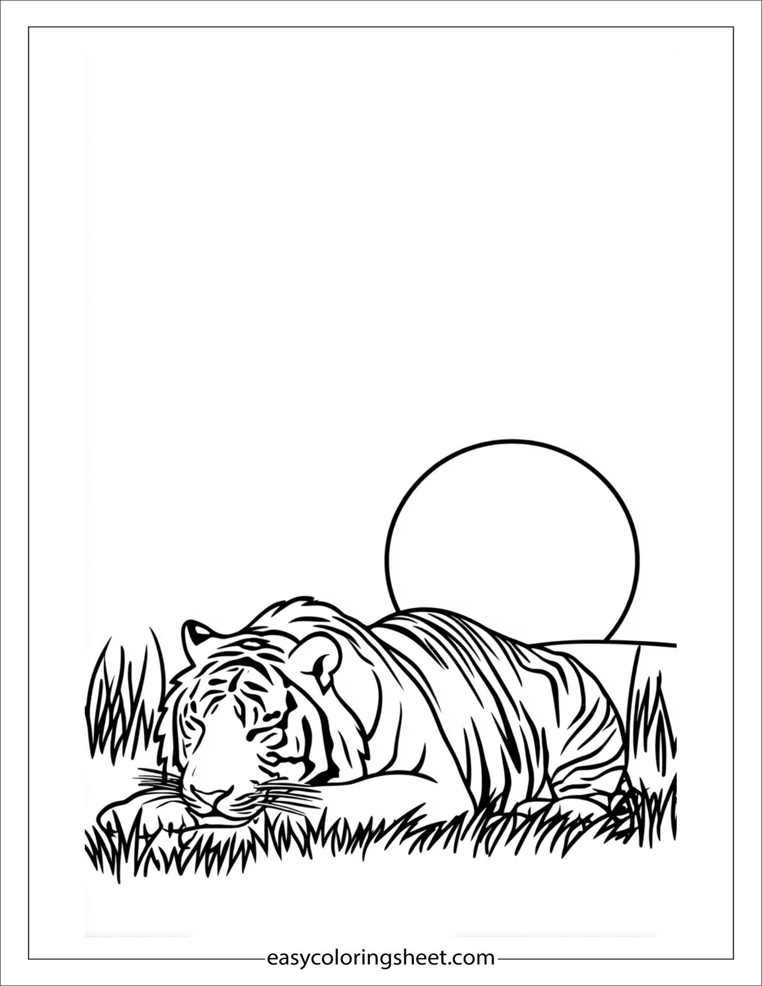 Sher Khan, the tiger, napping in sun