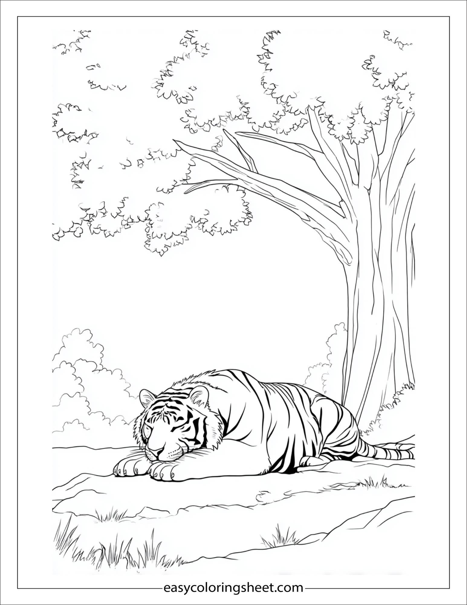 Sher Khan, the tiger, resting under tree
