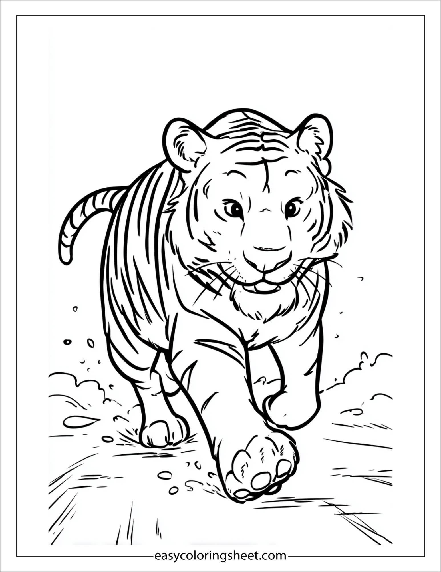 Sher Khan, the tiger, running fast