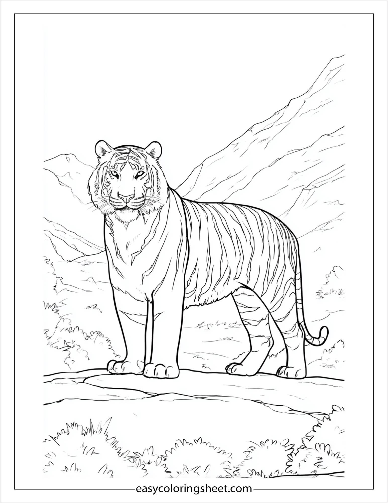 Sher Khan, the tiger, standing majestically