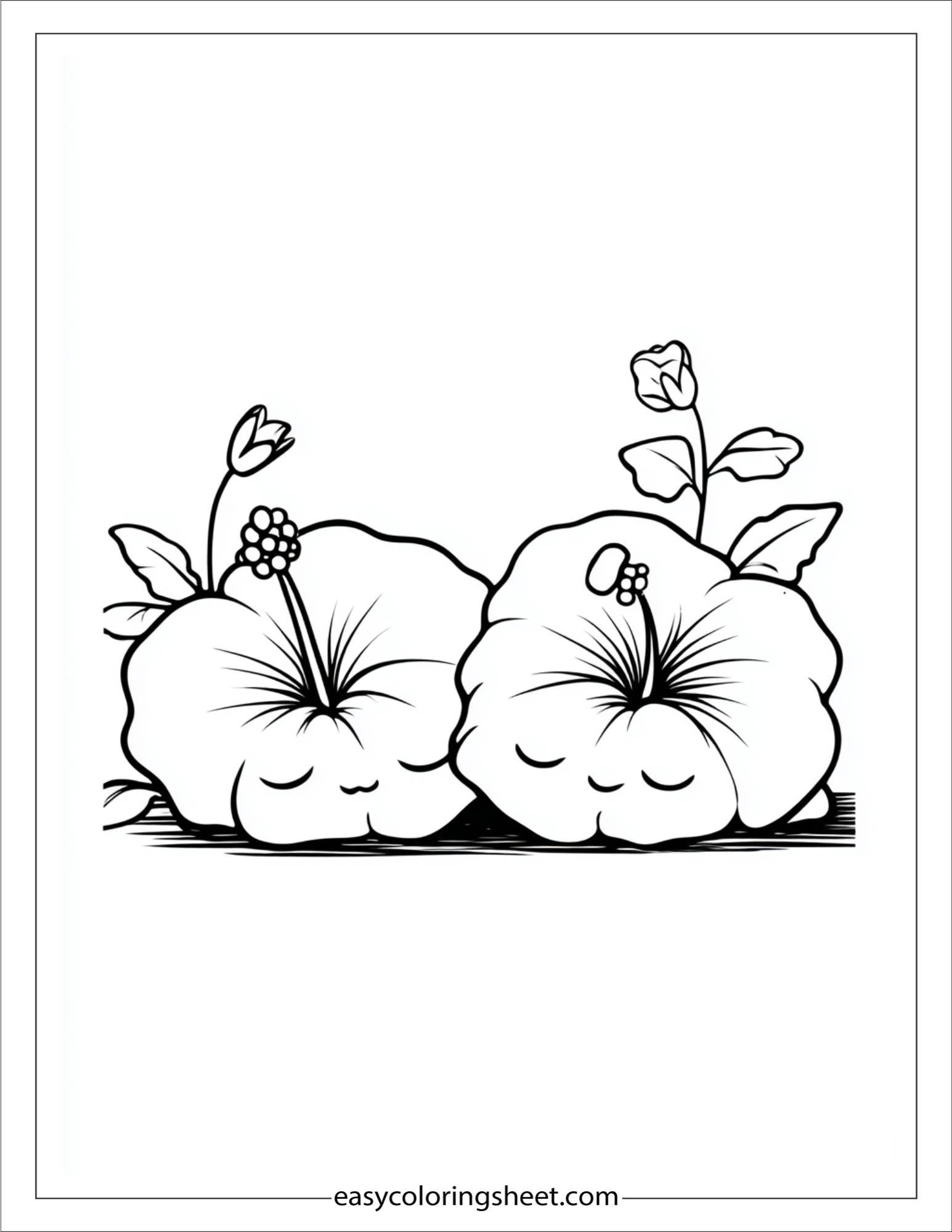 Sleeping Hibiscus Pair