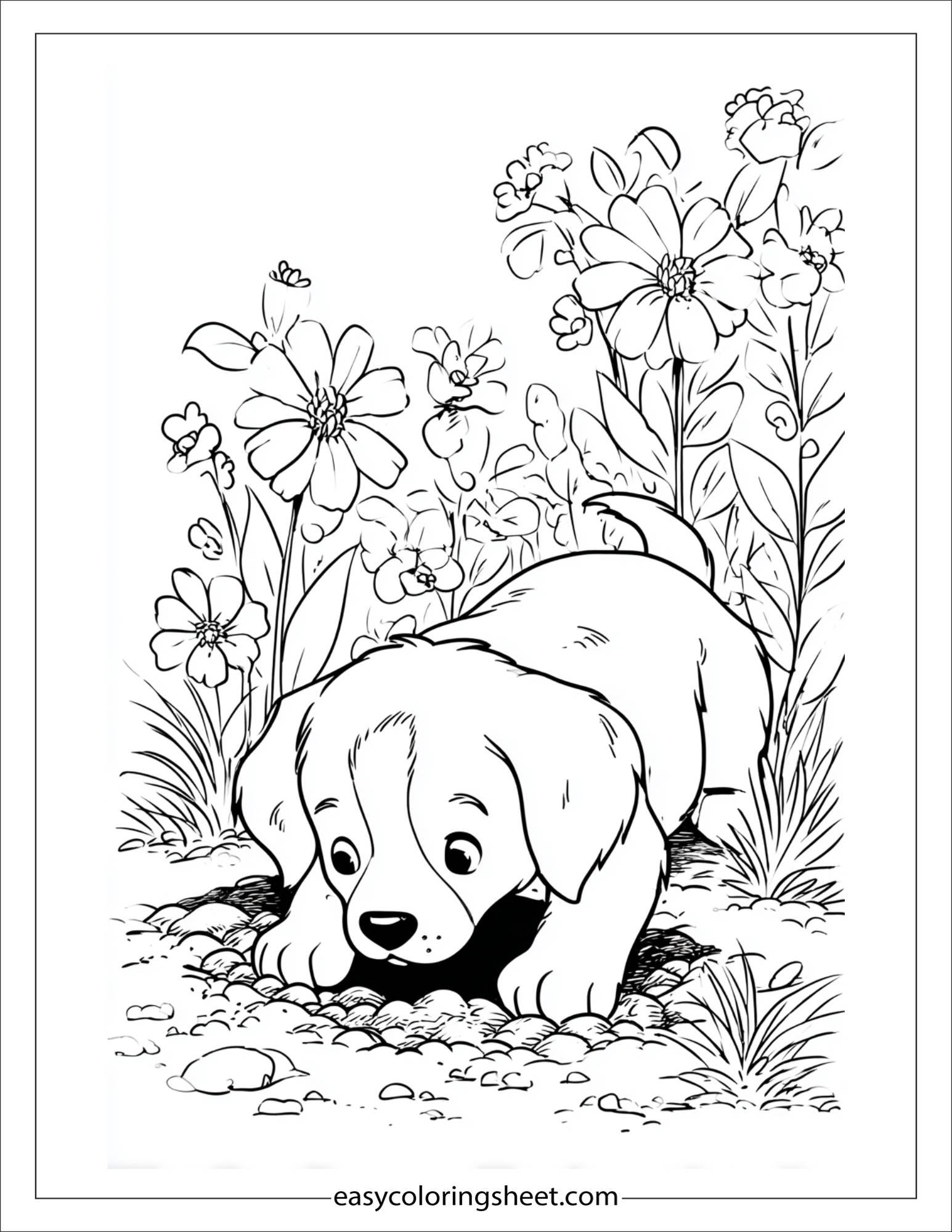 Sweet puppy digging a hole