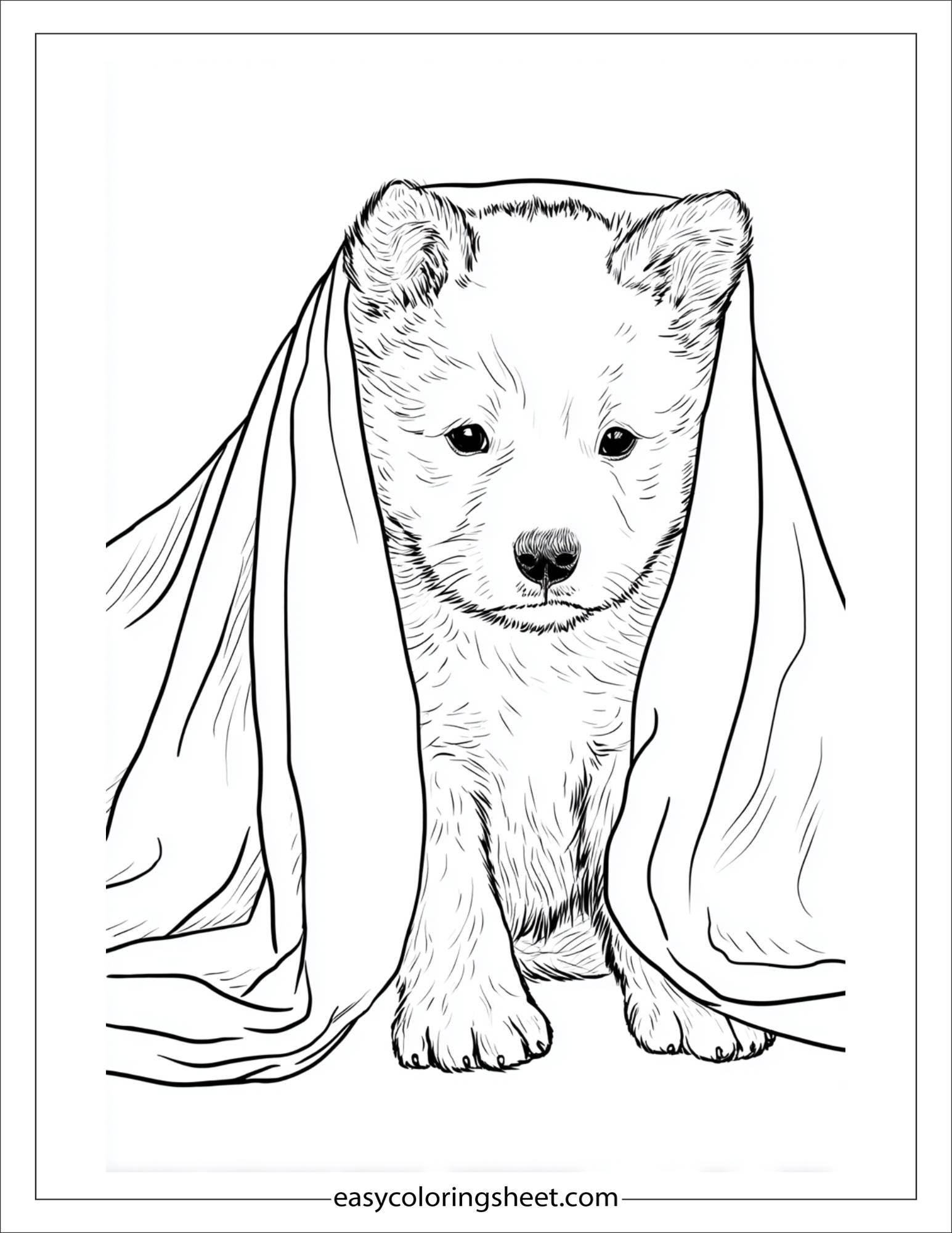 Sweet puppy hiding under blanket