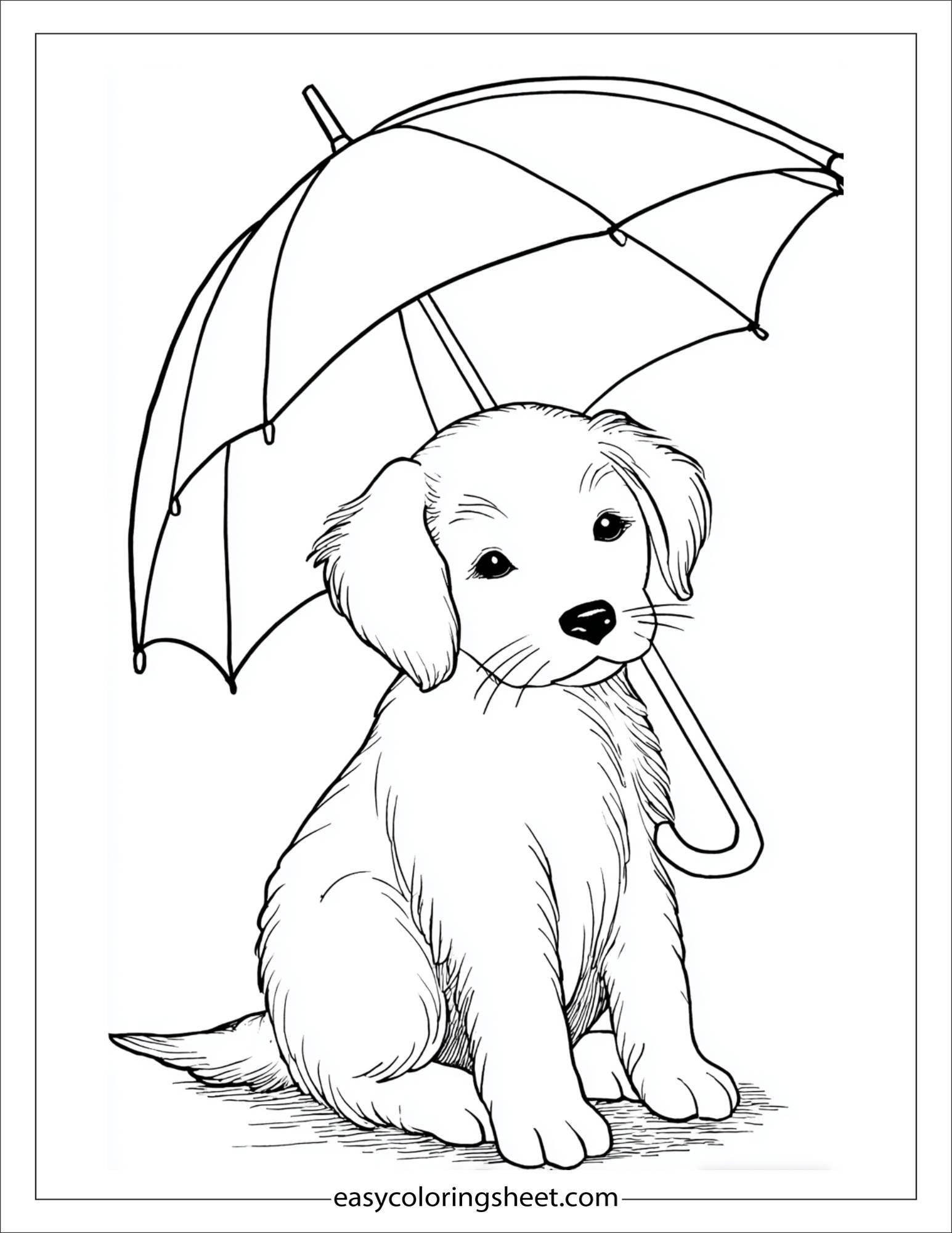 Sweet puppy holding an umbrella