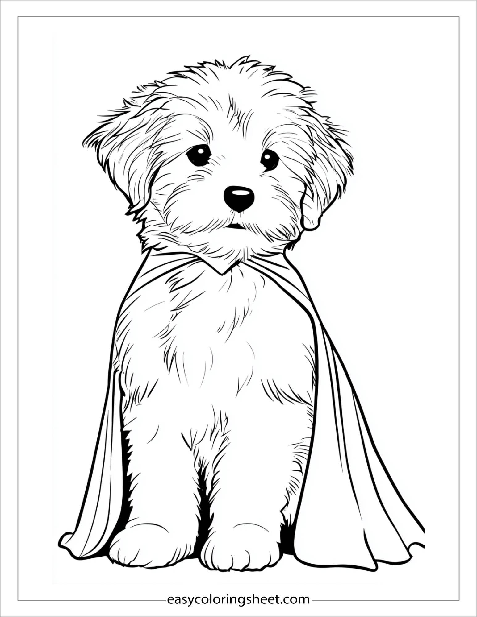 Sweet puppy in a superhero cape