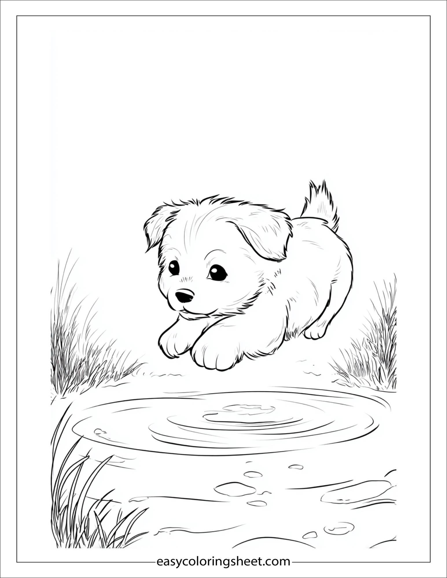 Sweet puppy jumping over a puddle