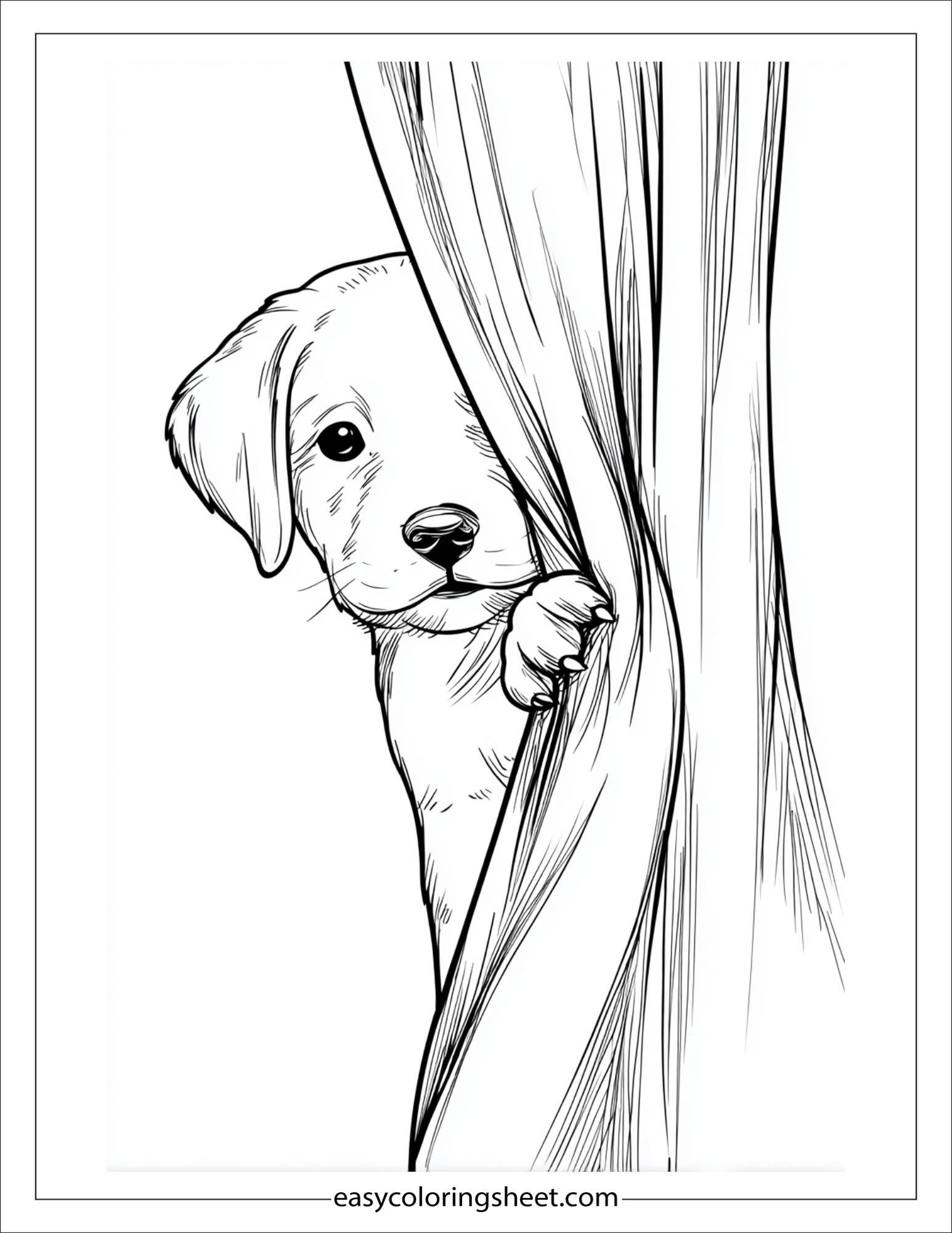 Sweet puppy peeking through curtains