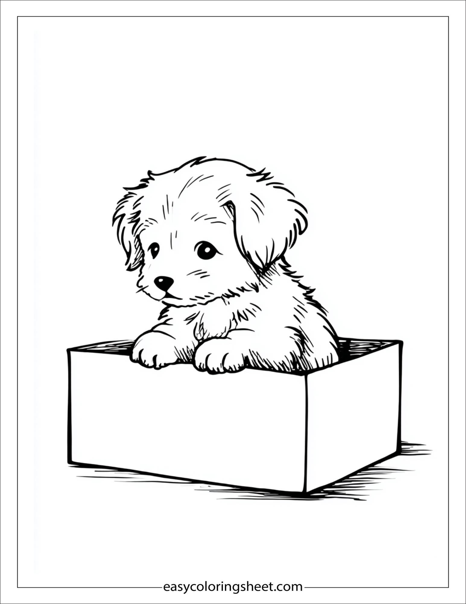 Sweet puppy playing in a box