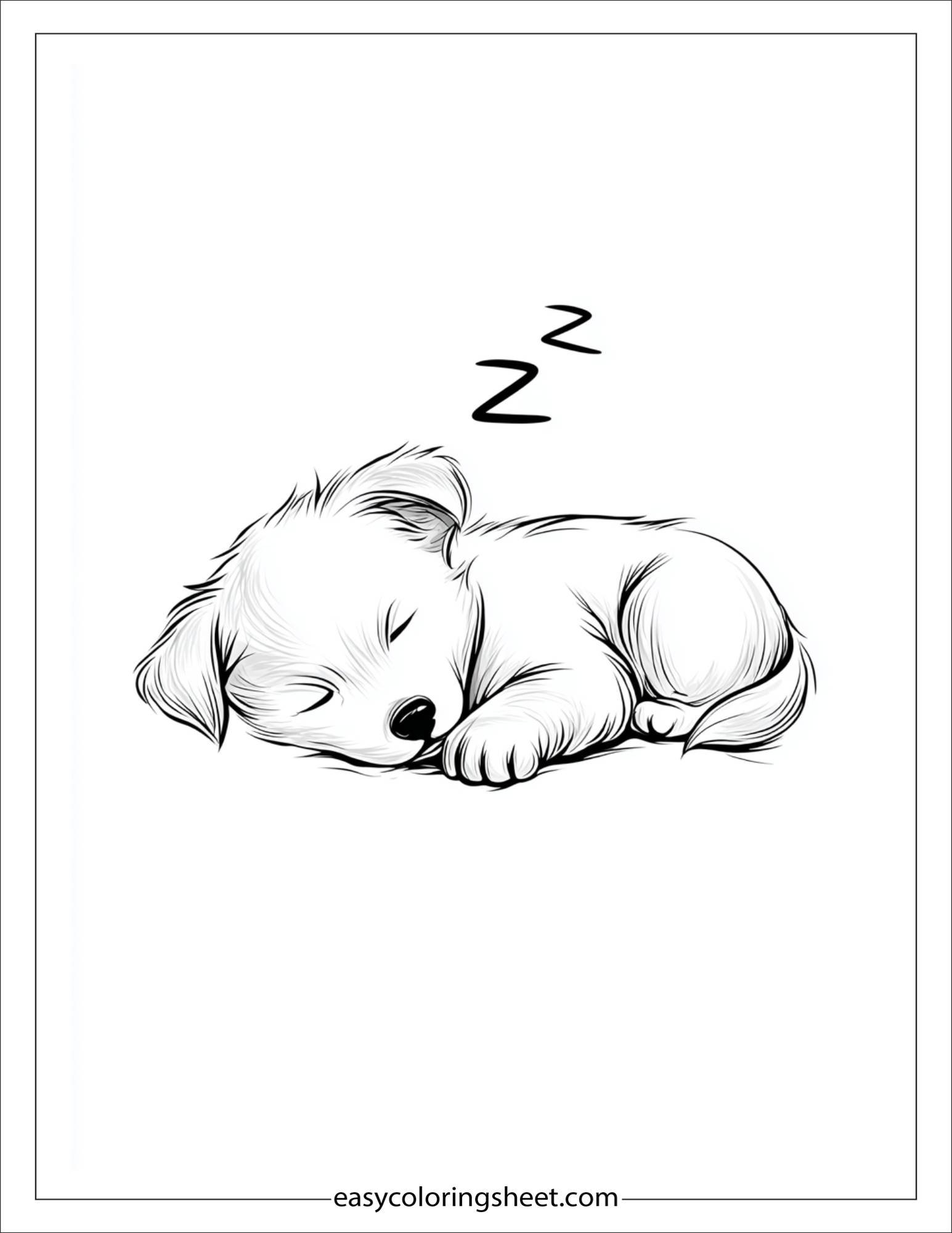 Sweet puppy sleeping peacefully