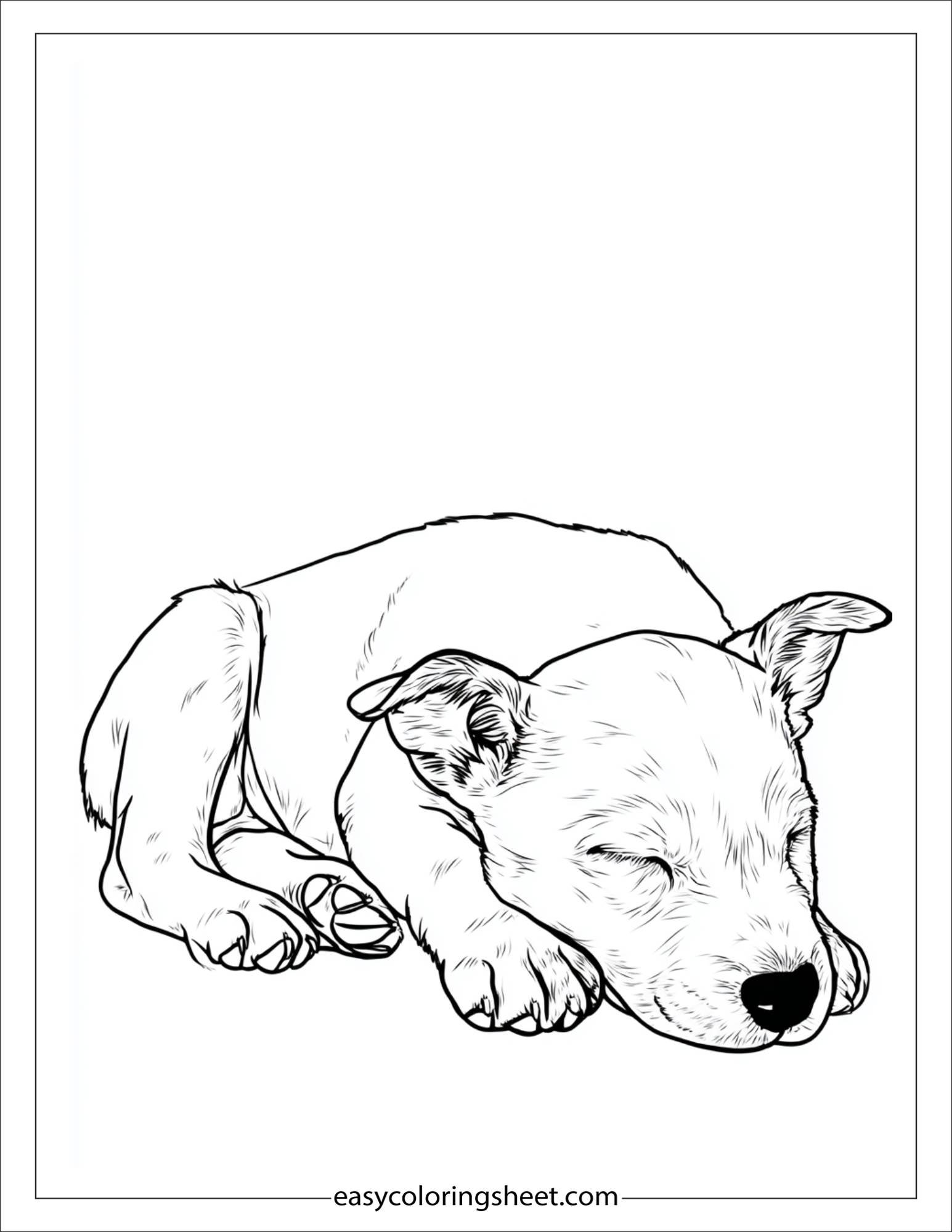 Sweet puppy taking a nap