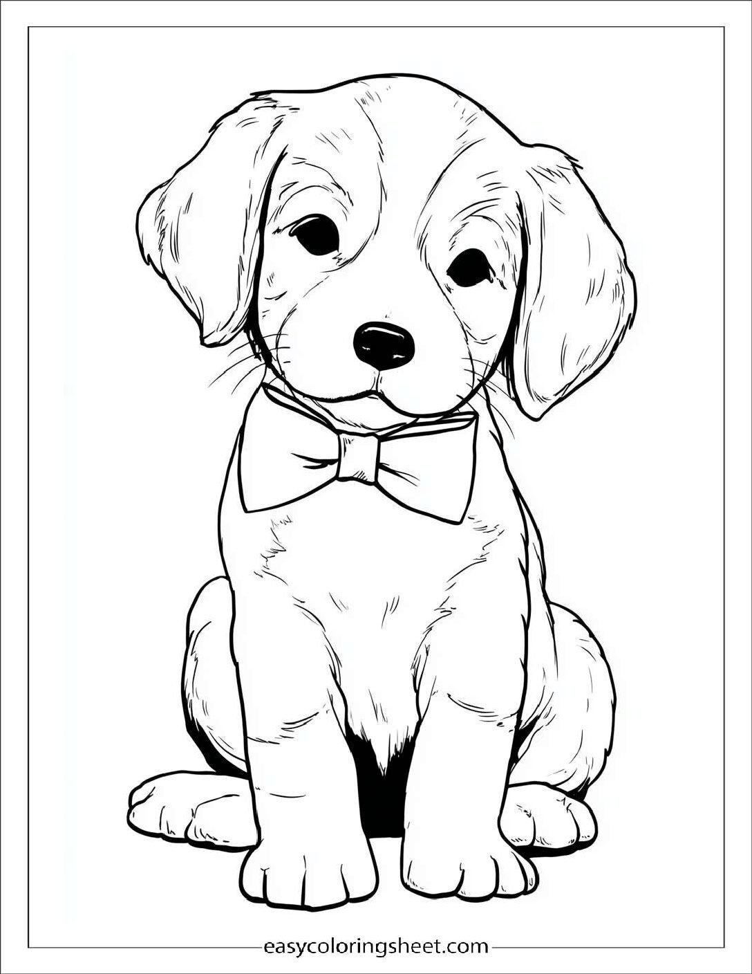 Sweet puppy wearing a bowtie