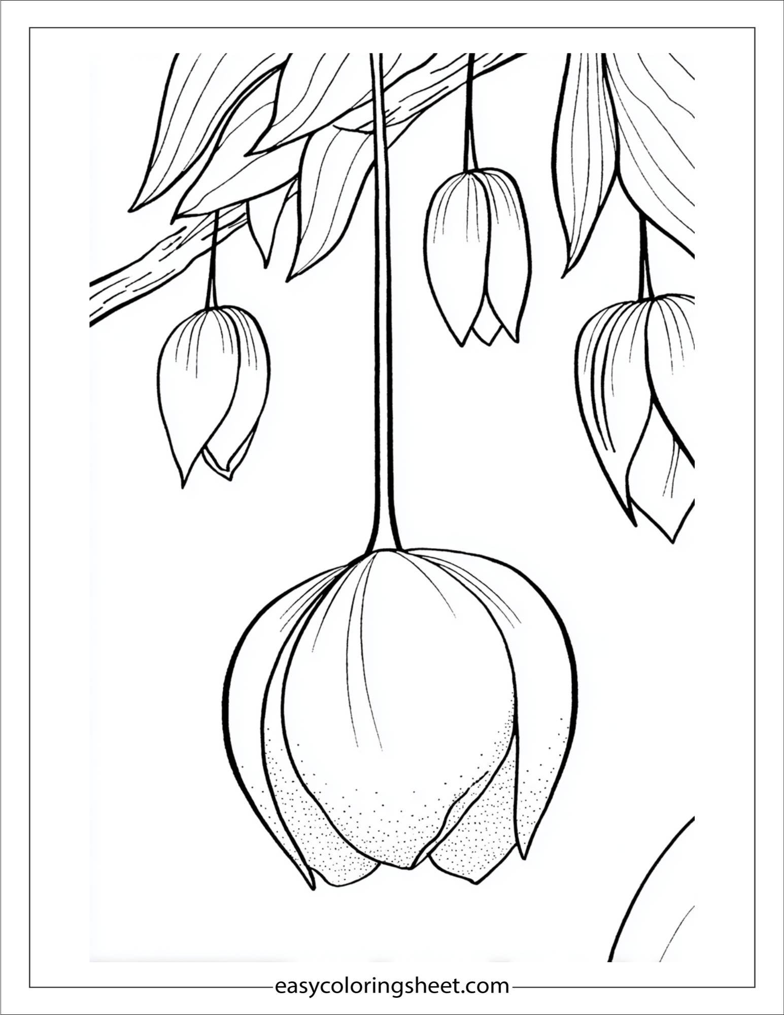 Tulip branch