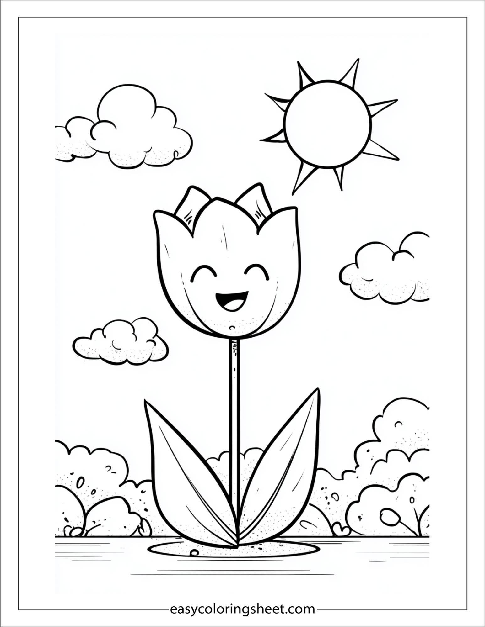 Tulip greeting the morning sun