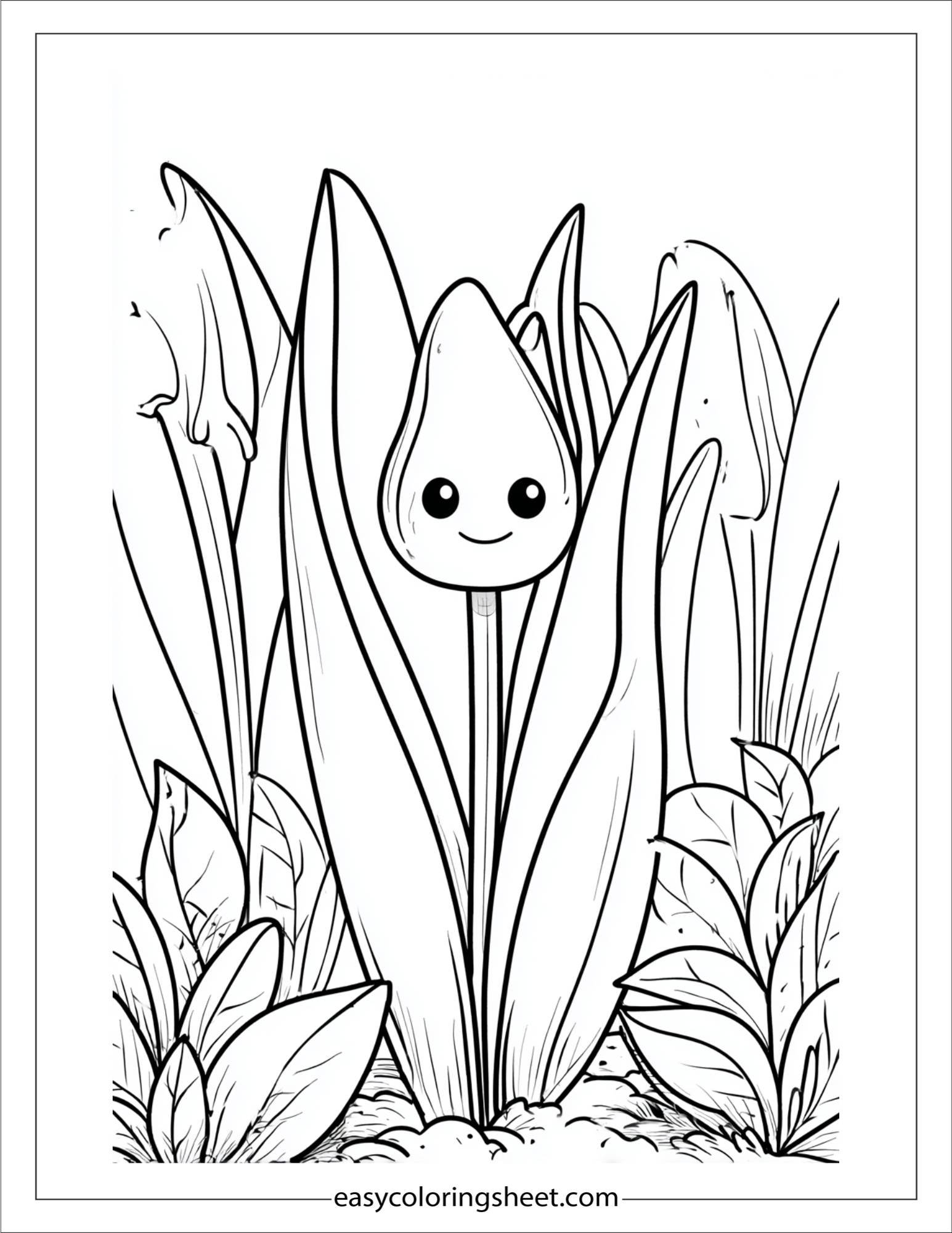 Tulip playing hide and seek