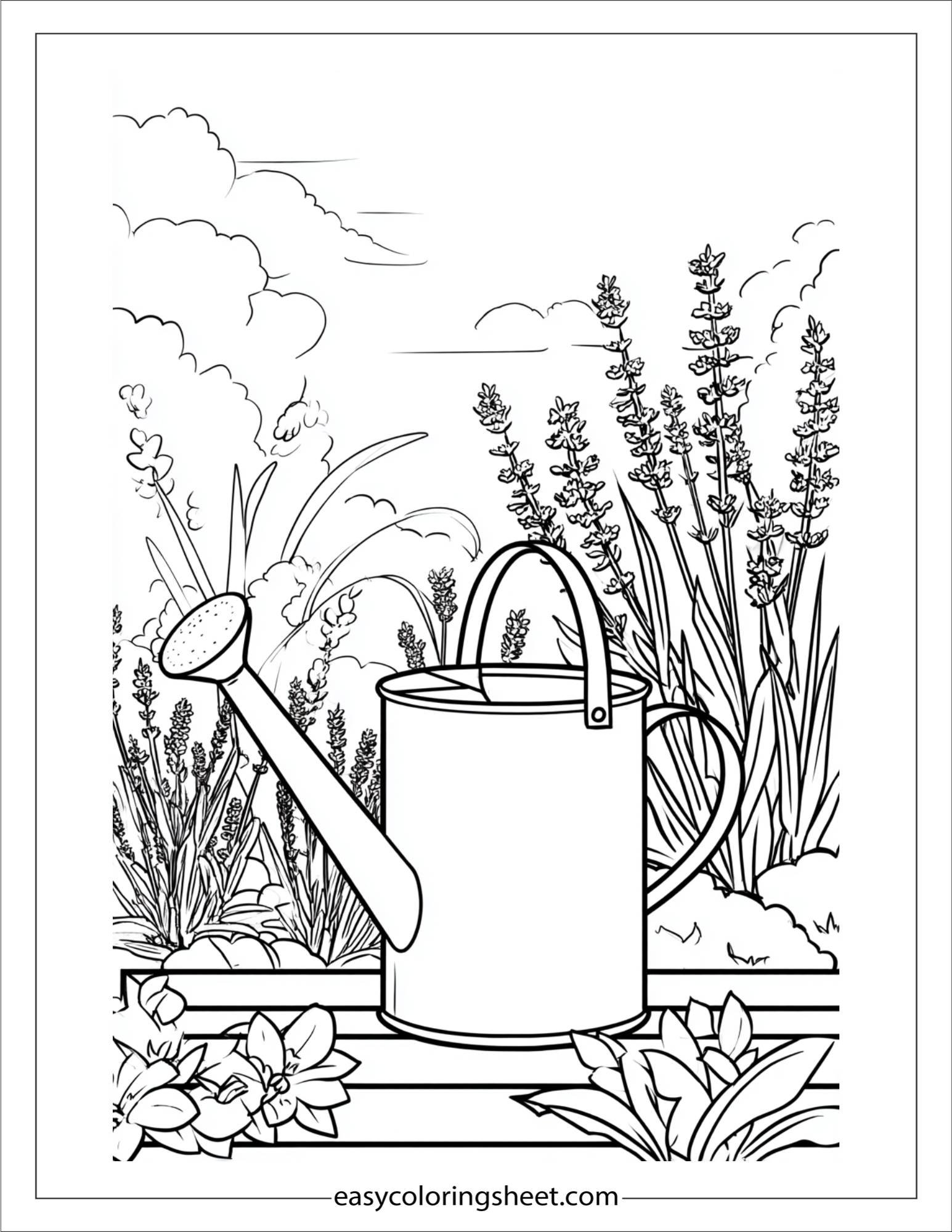 Watering lavender garden