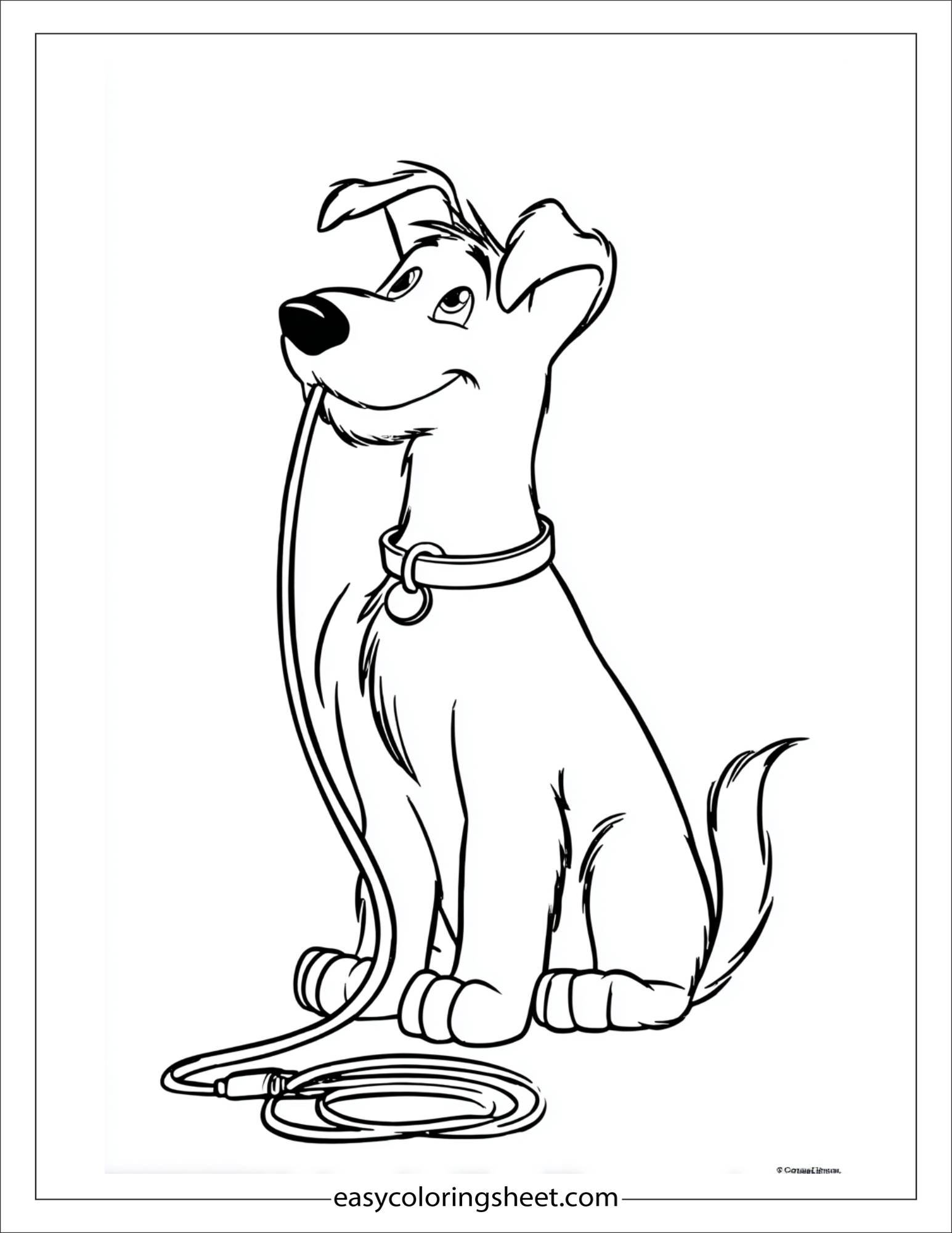 caring dog bringing a leash