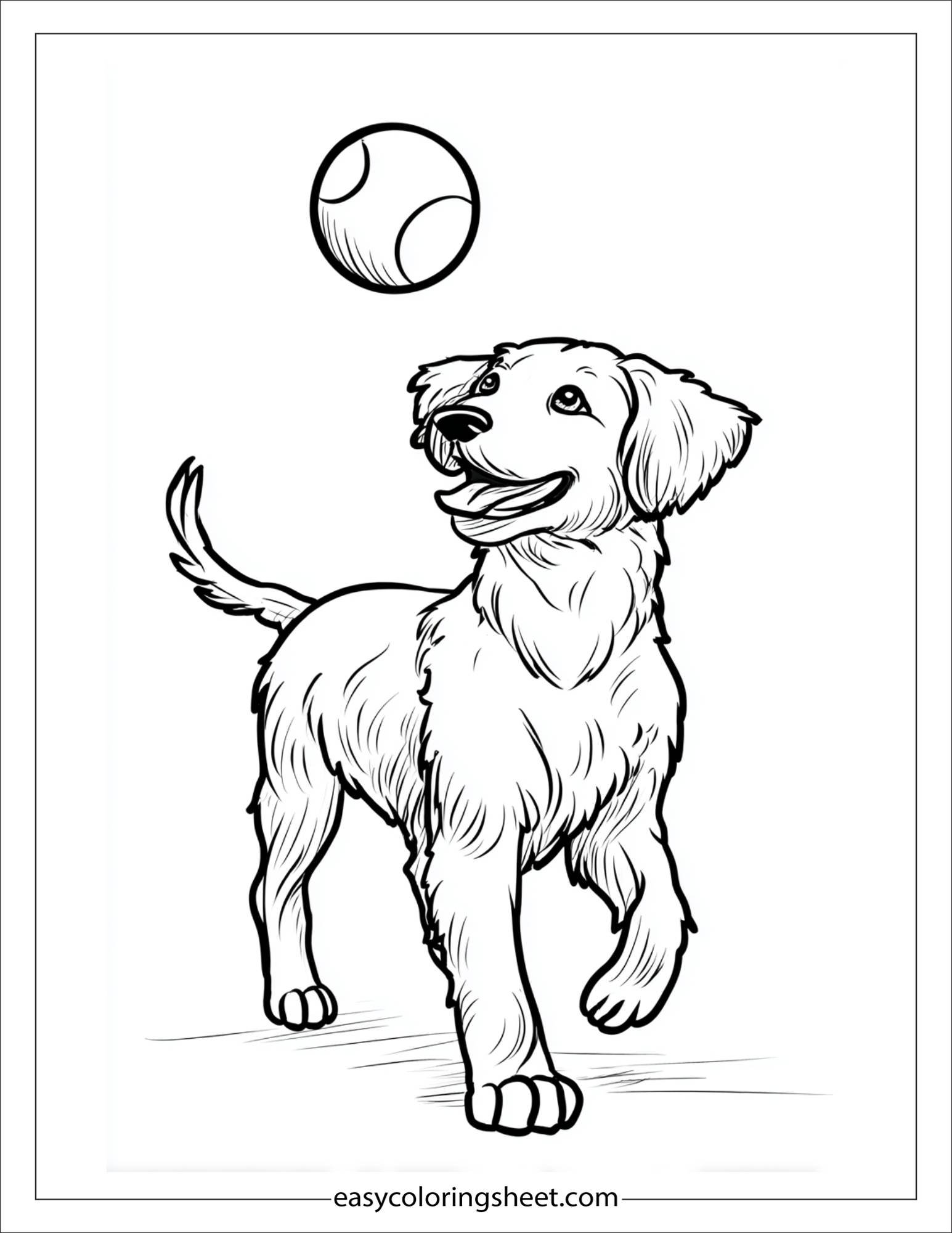 caring dog playing fetch