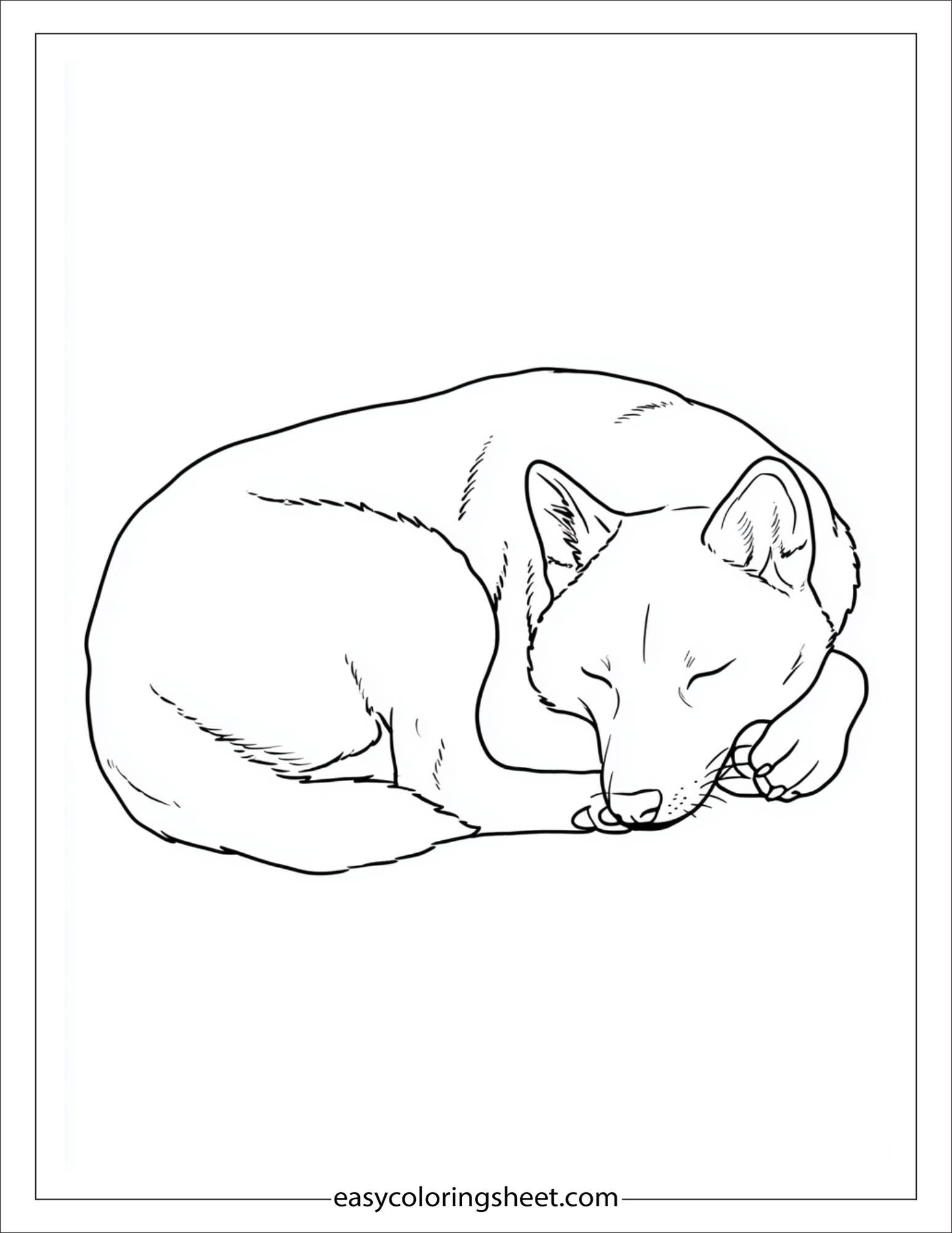 caring dog sleeping peacefully