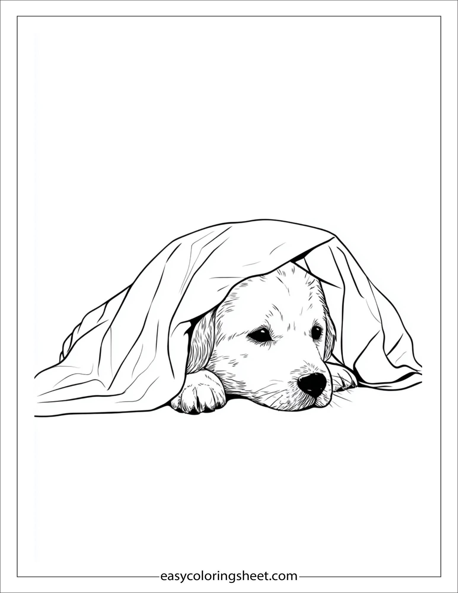 caring dog under a blanket