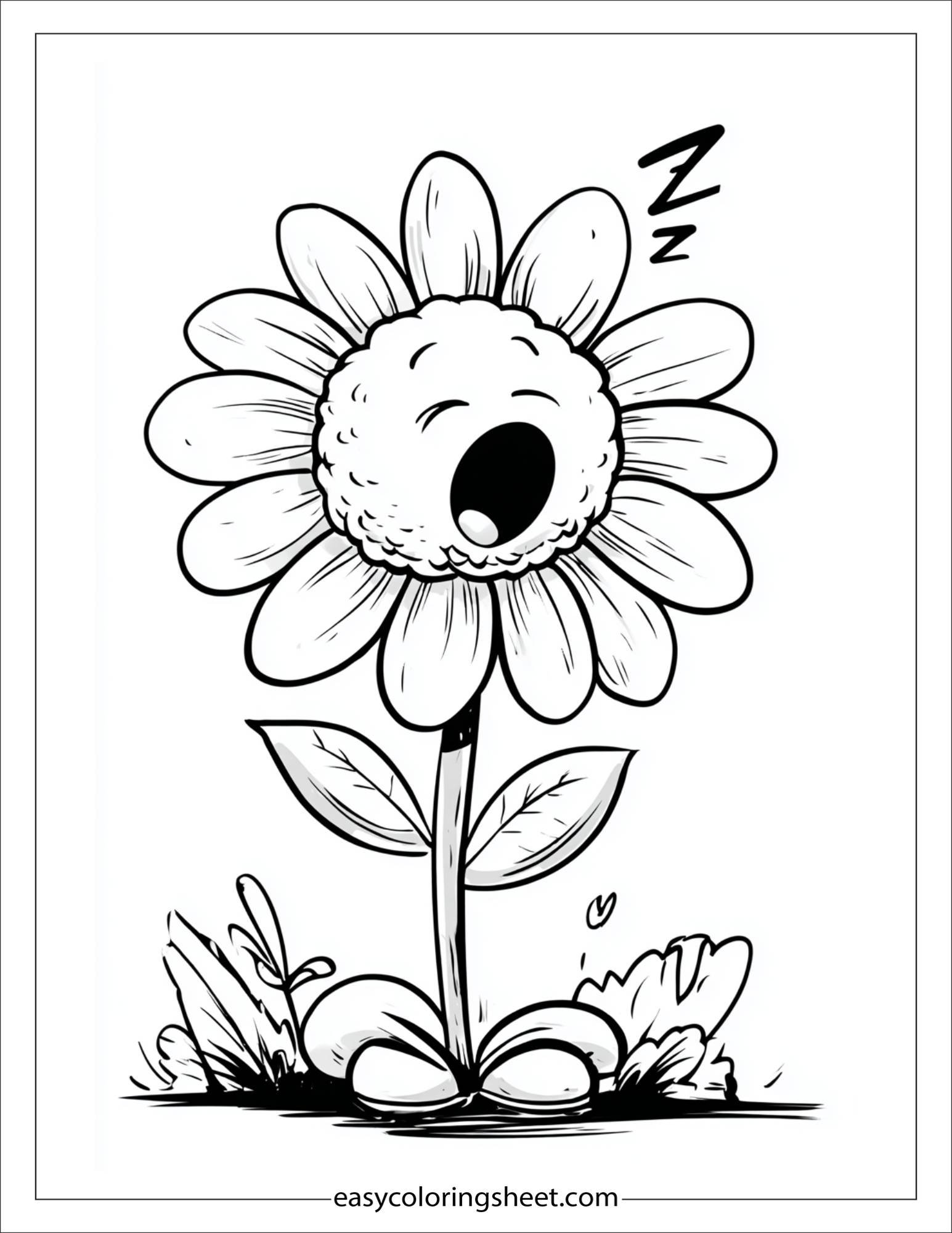 daisy morning stretch