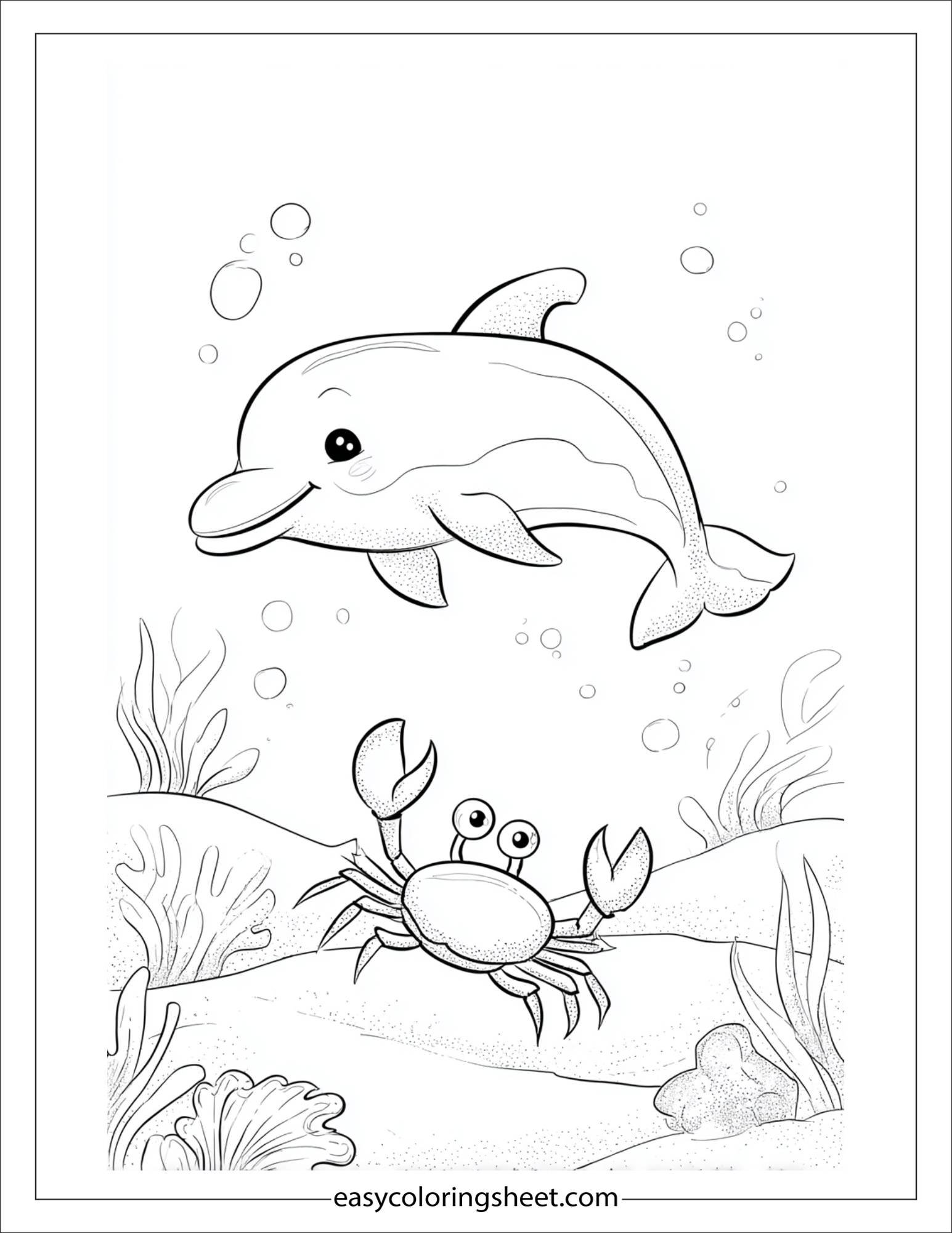 dolphin chasing a crab