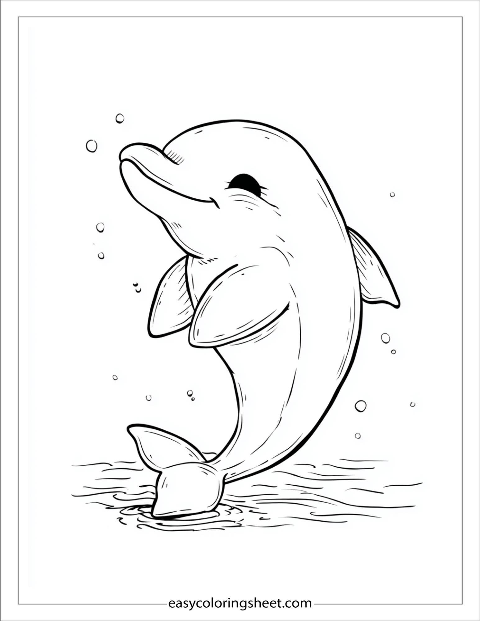 dolphin clapping fins