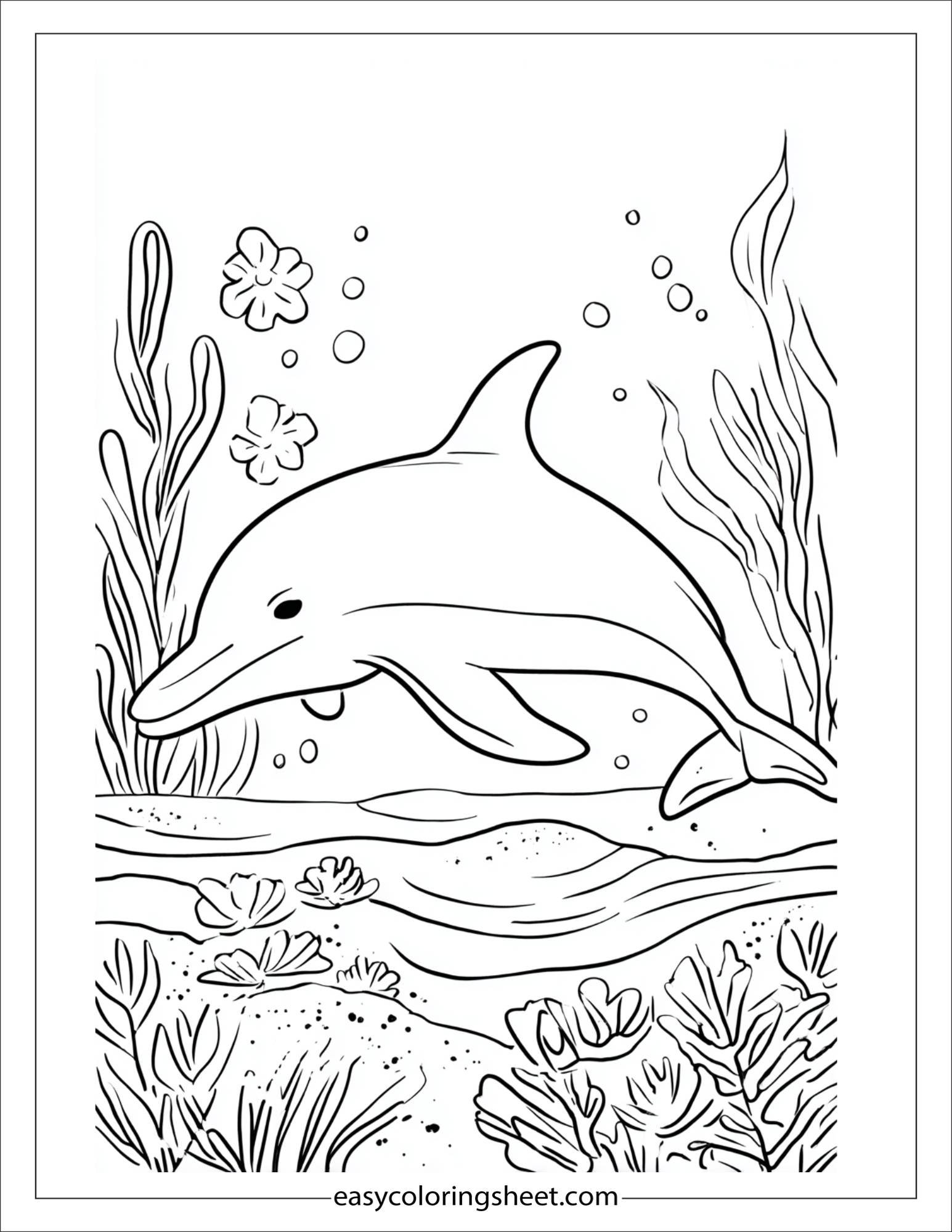 dolphin drawing in sand