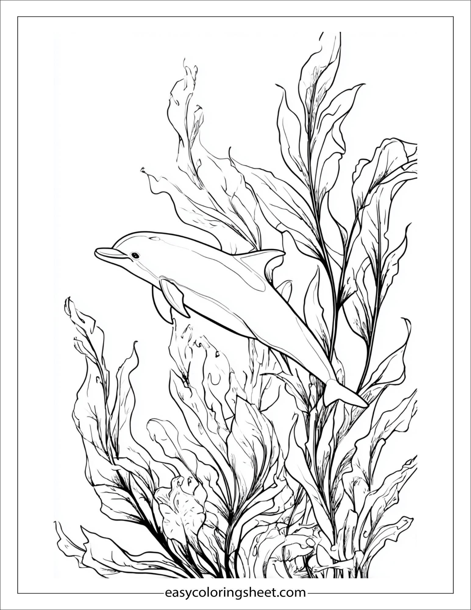 dolphin hiding behind seaweed