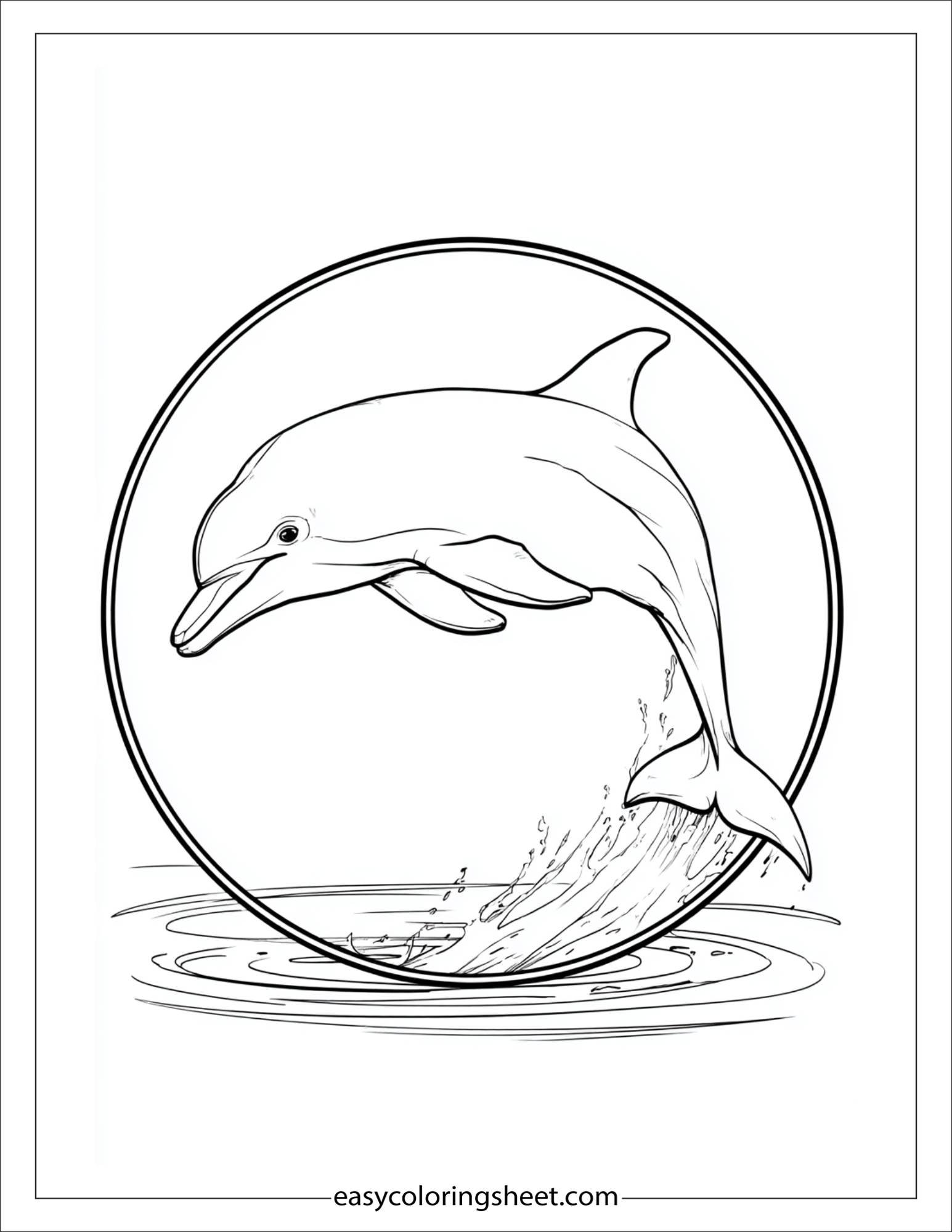 dolphin jumping through a hoop
