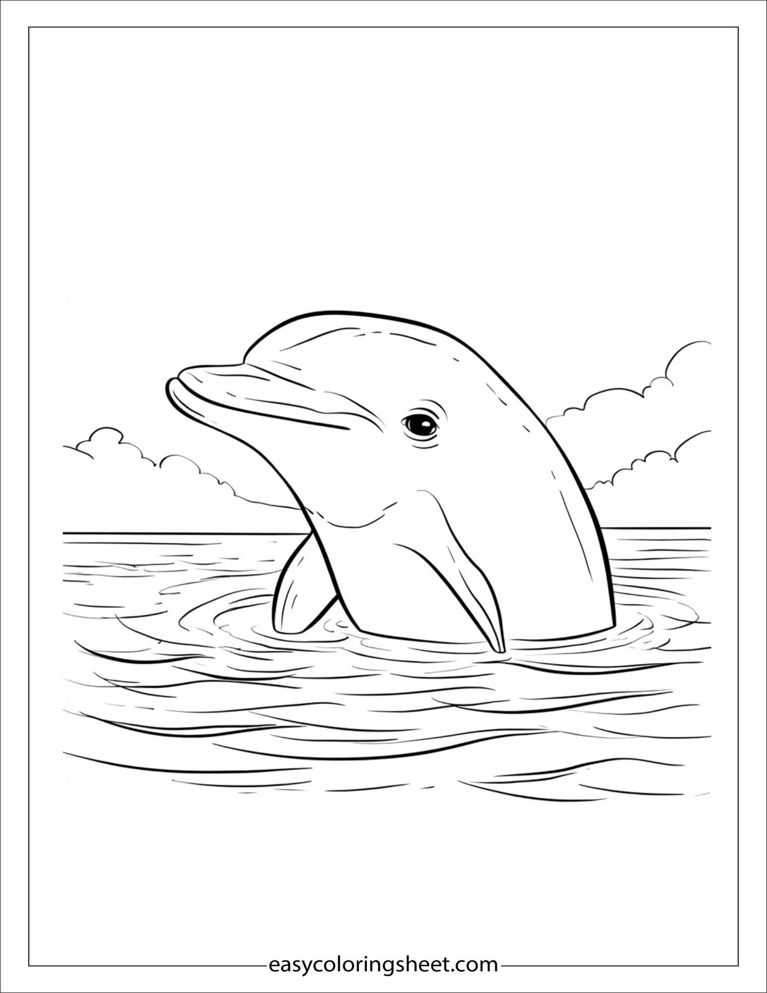 dolphin peeking above water