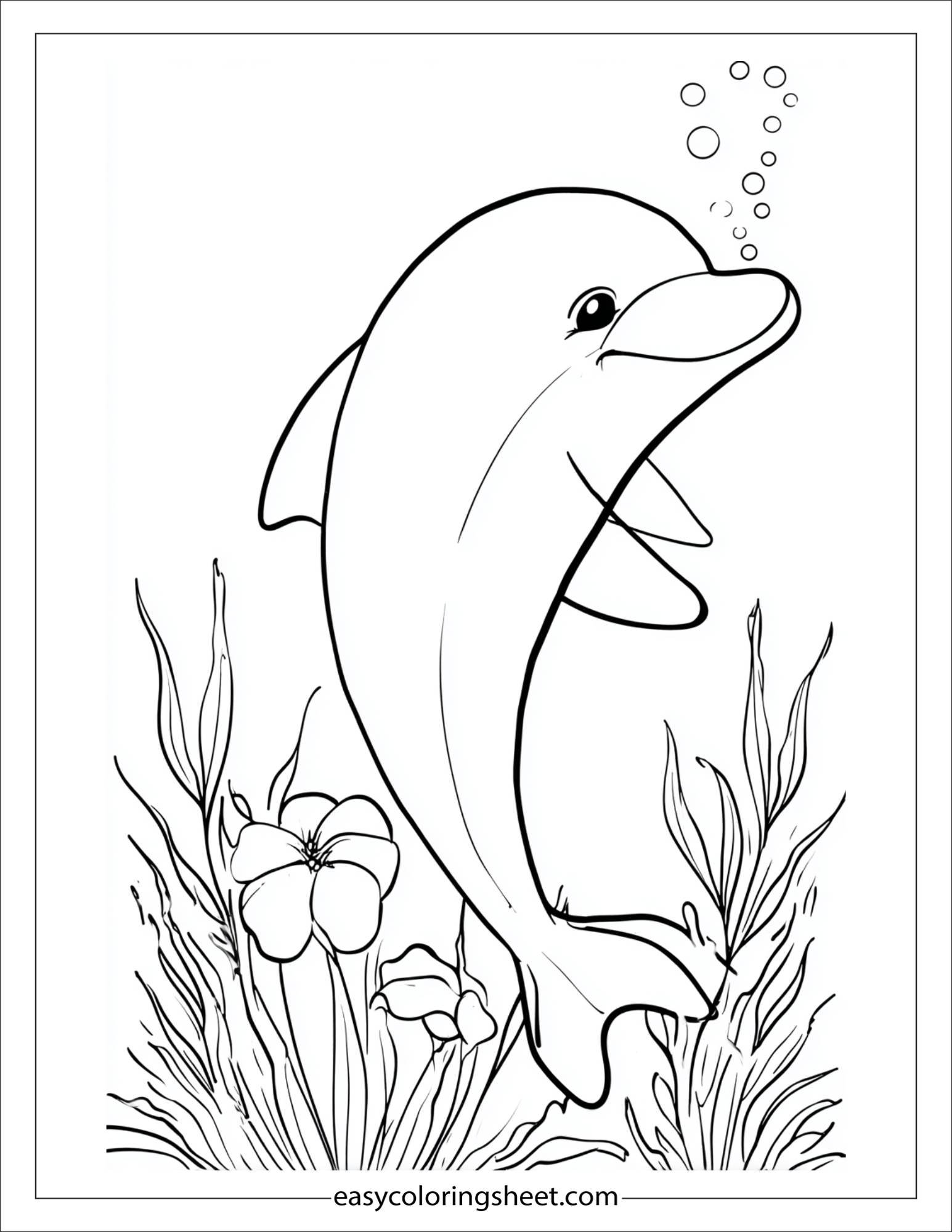 dolphin playing peekaboo