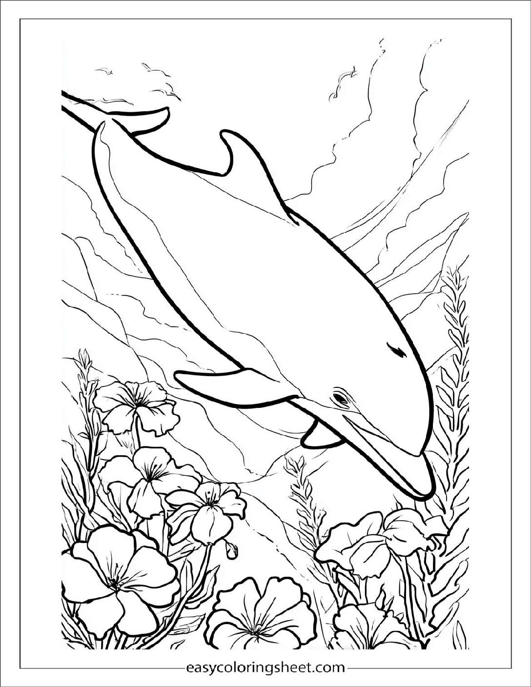 dolphin resting peacefully