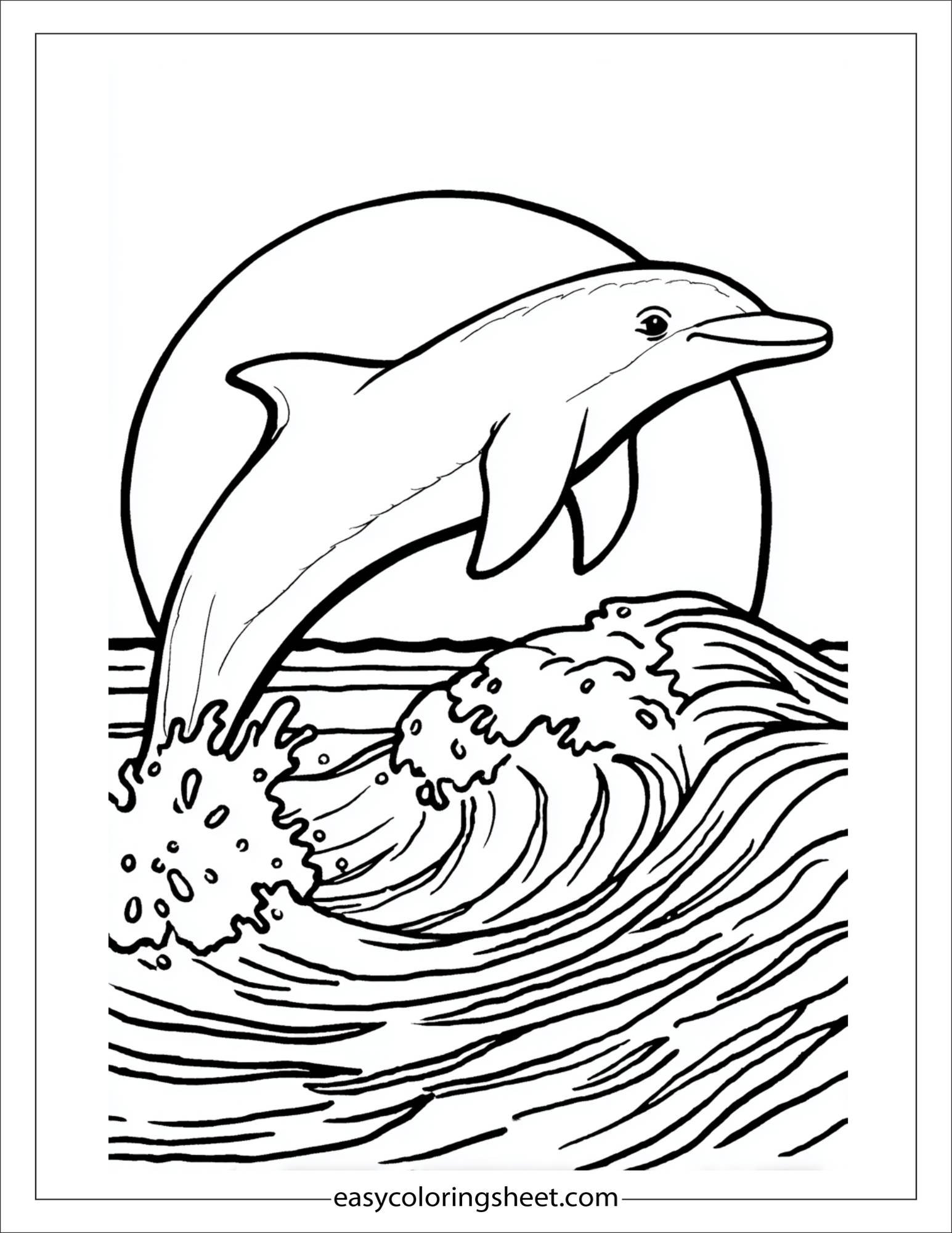 dolphin riding a wave