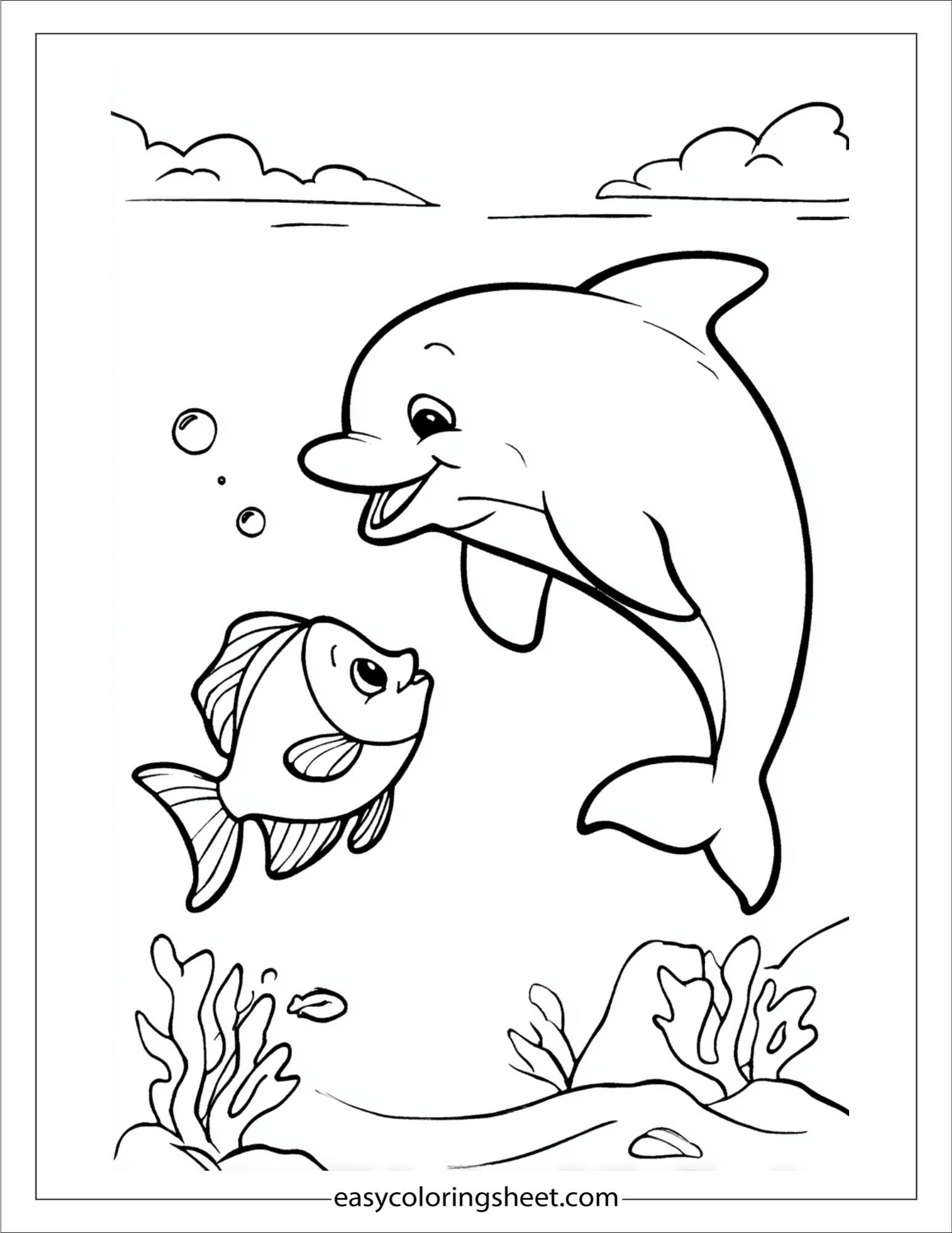 dolphin smiling at a fish