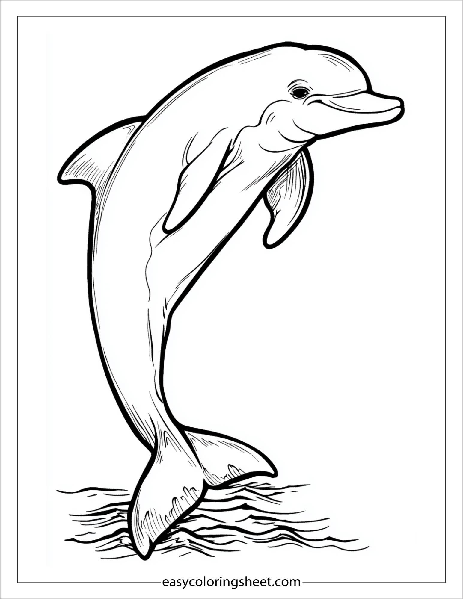 dolphin stretching in water