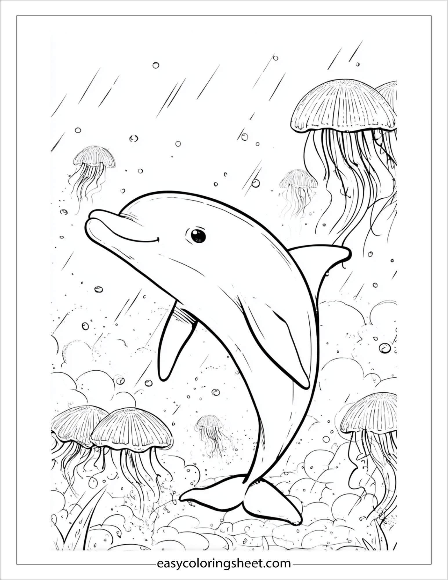 dolphin surprised by jellyfish