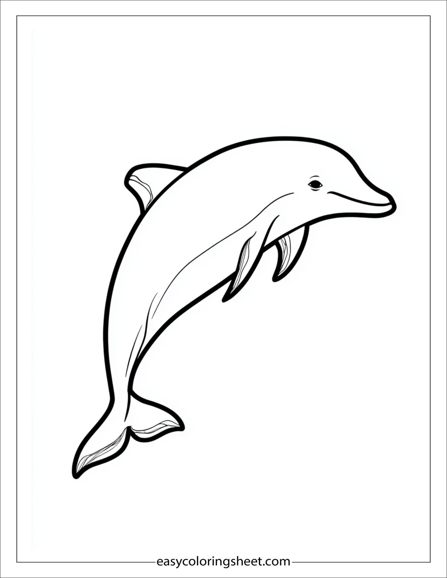 dolphin with rainbow fin