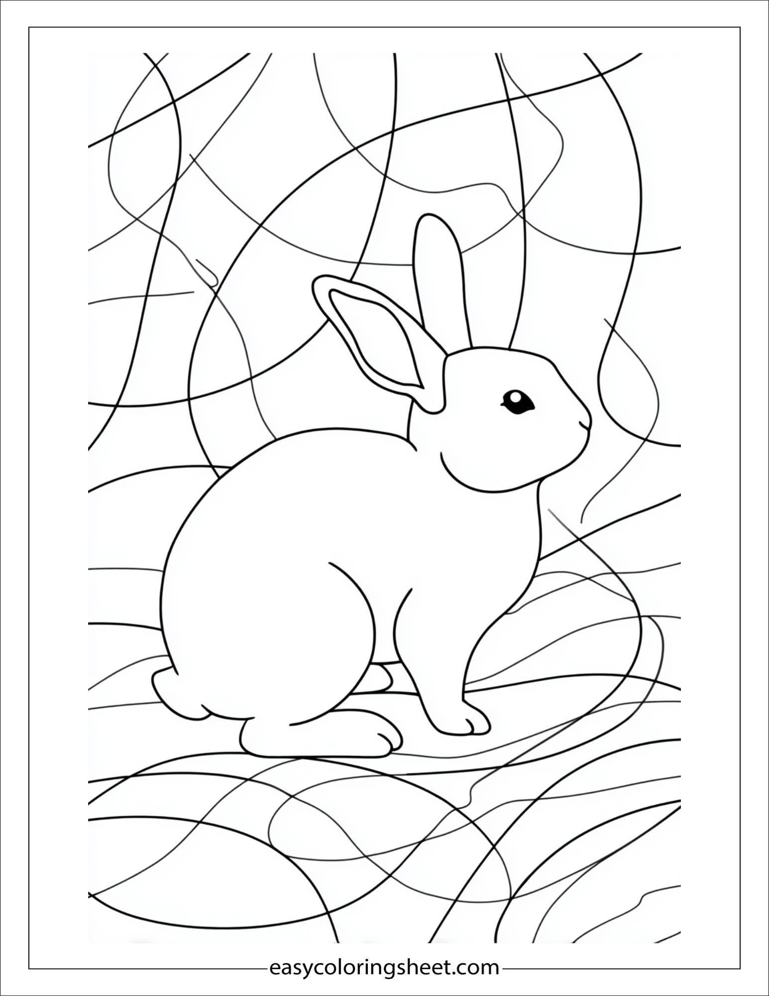 intelligent rabbit solving a puzzle