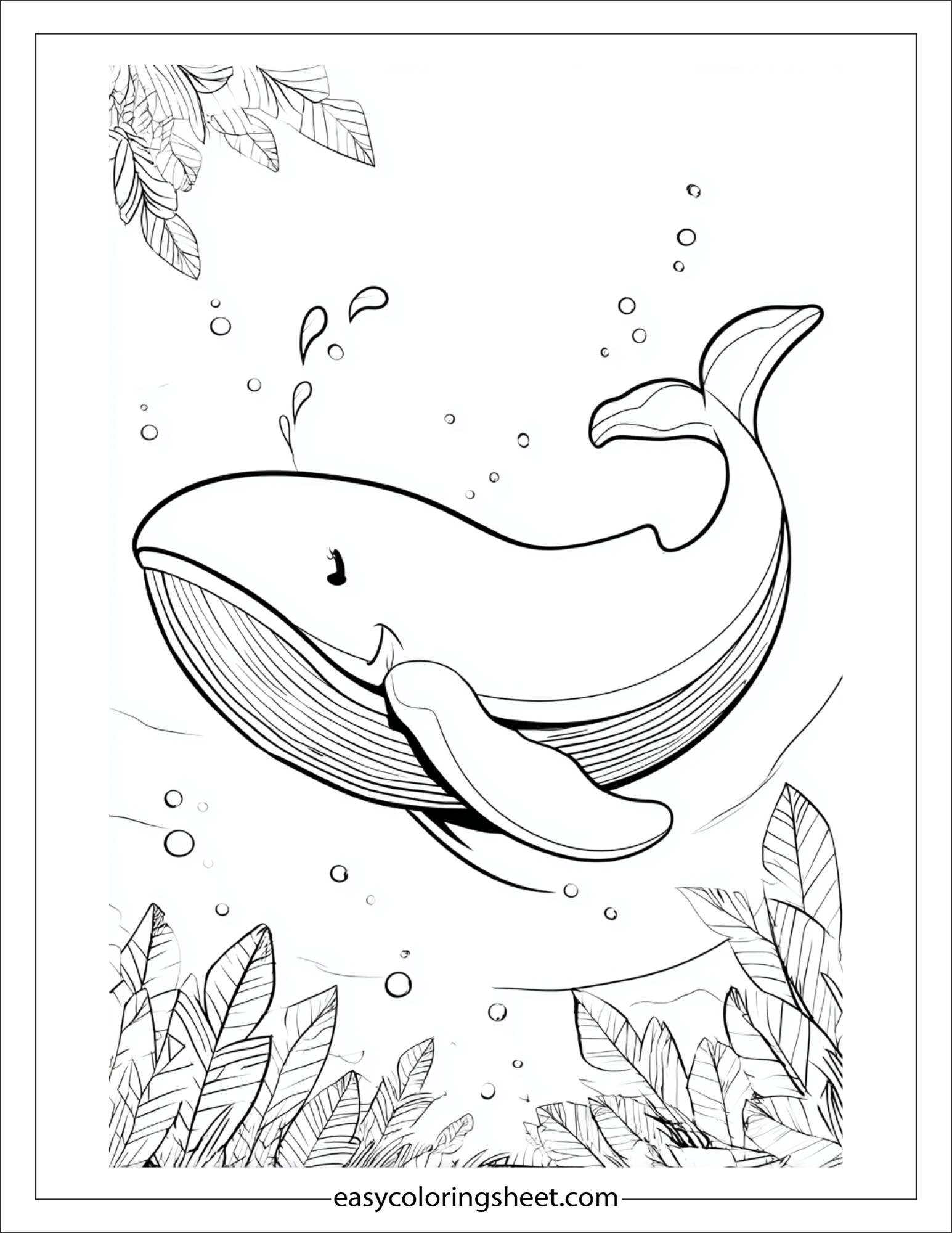 kids coloring sheet of Whale rolling on its back