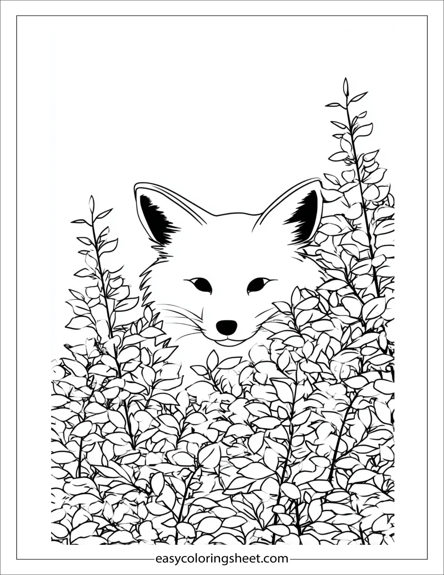 the clever fox hiding behind bush