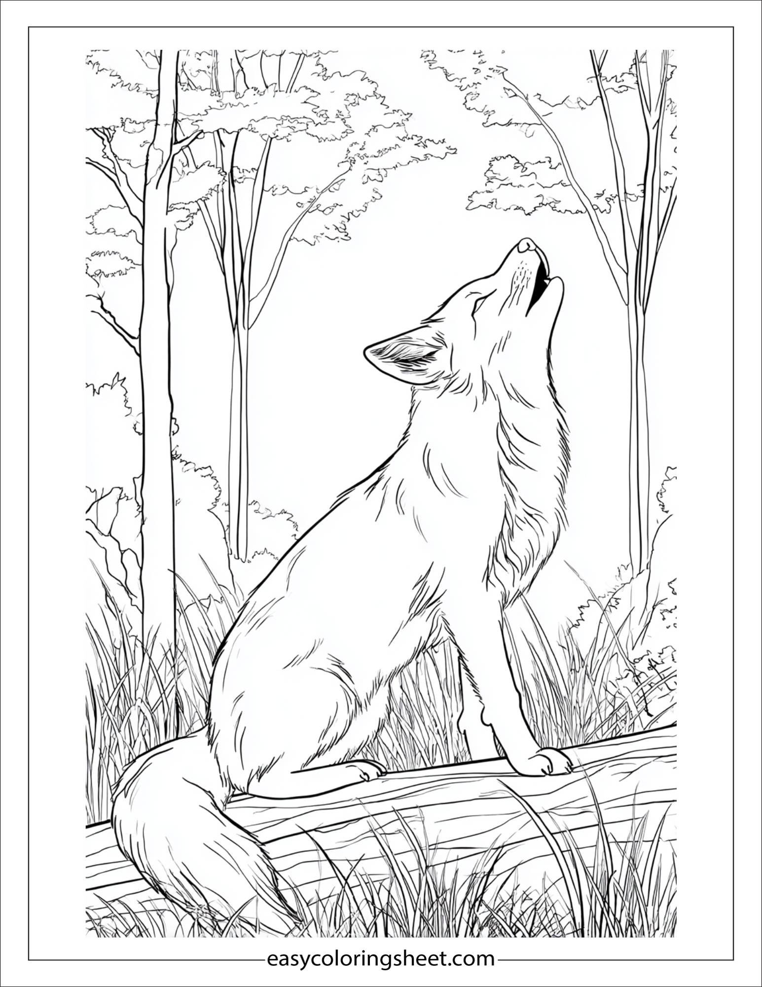 the clever fox howling softly