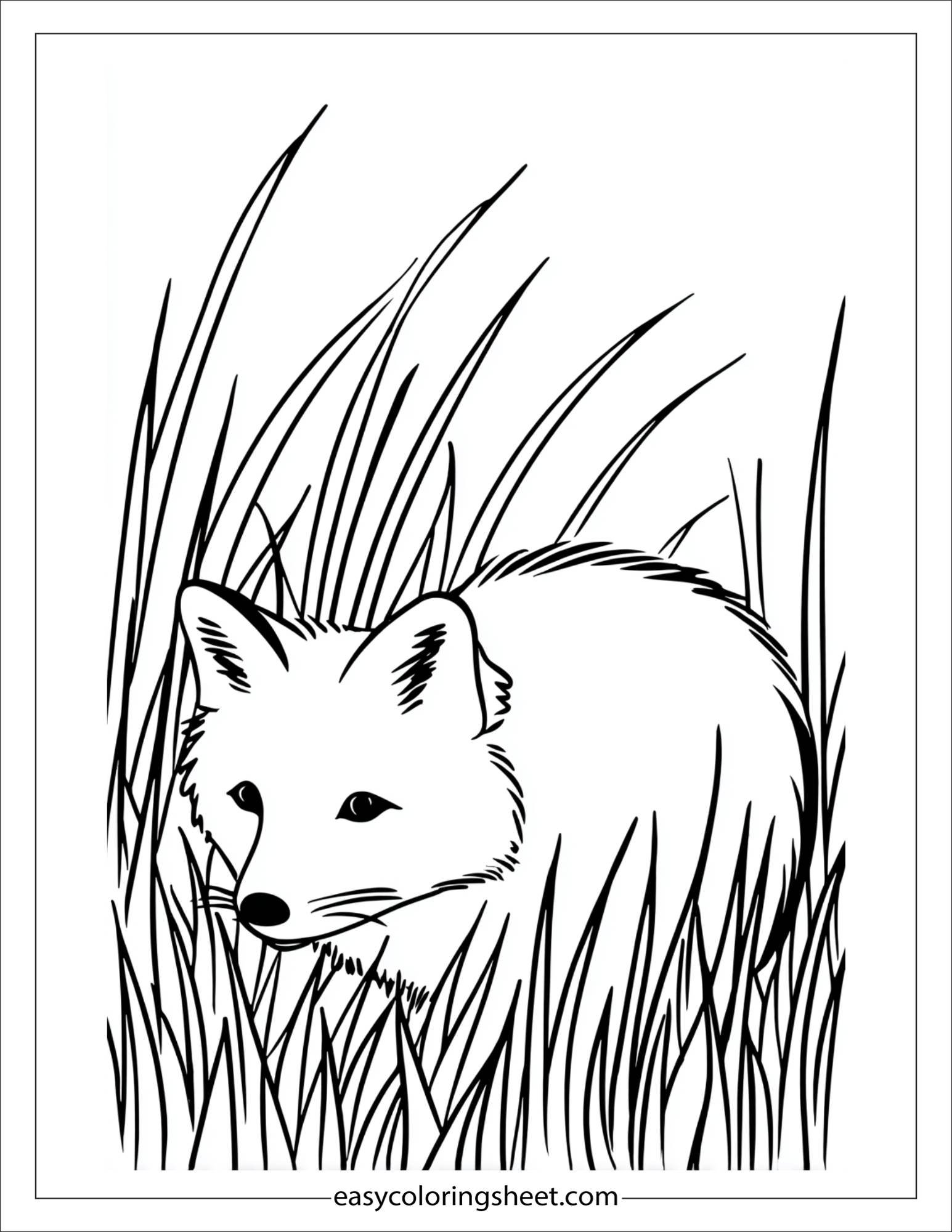 the clever fox sneaking through grass