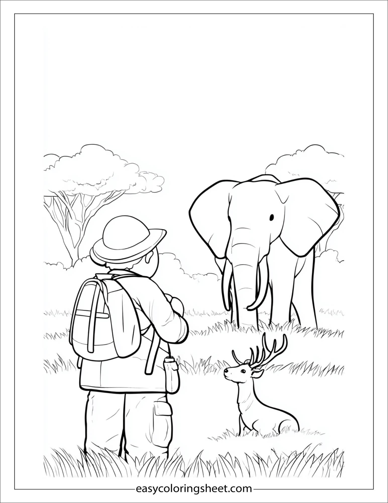 the explorer watching animals