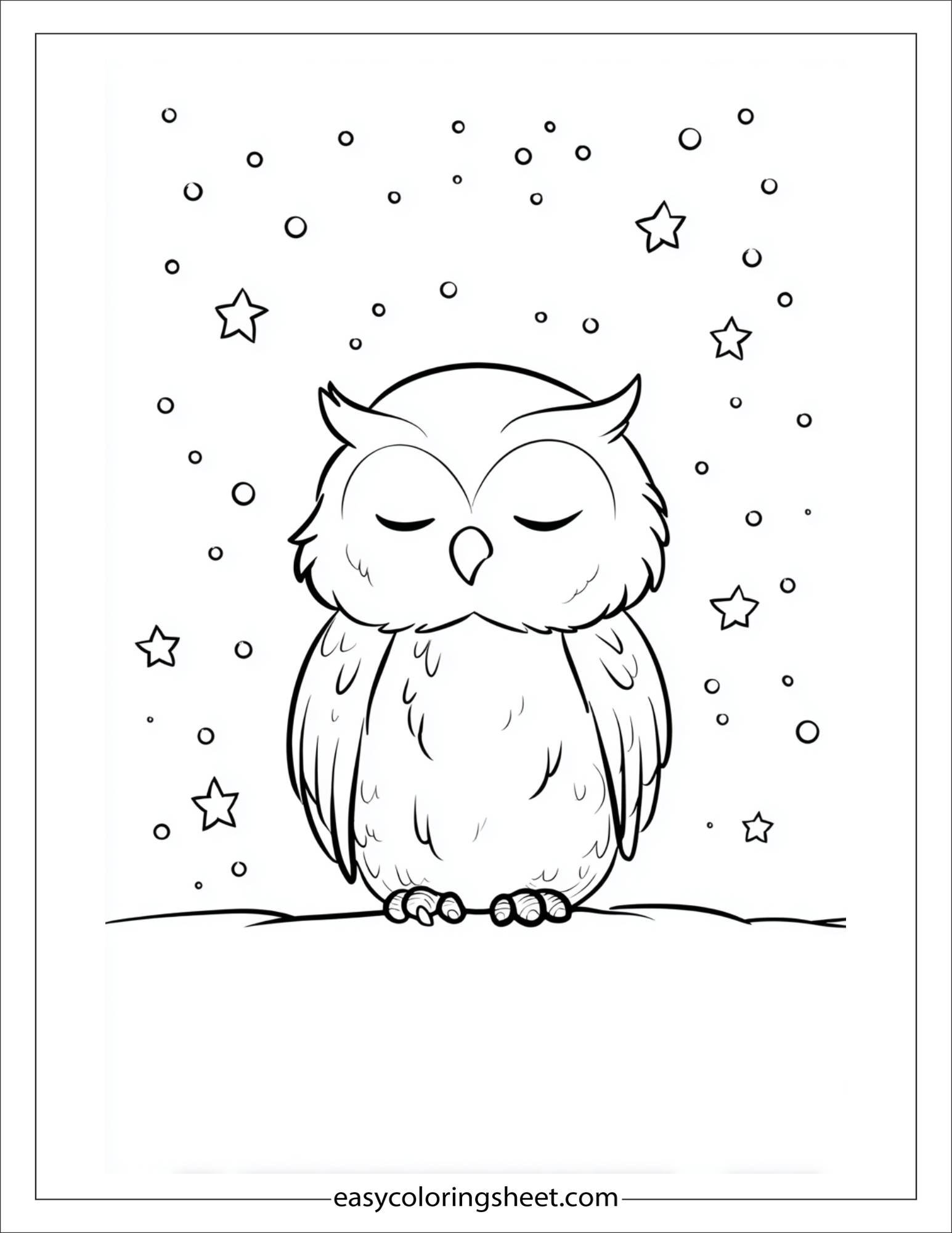 the wise owl dreaming under stars