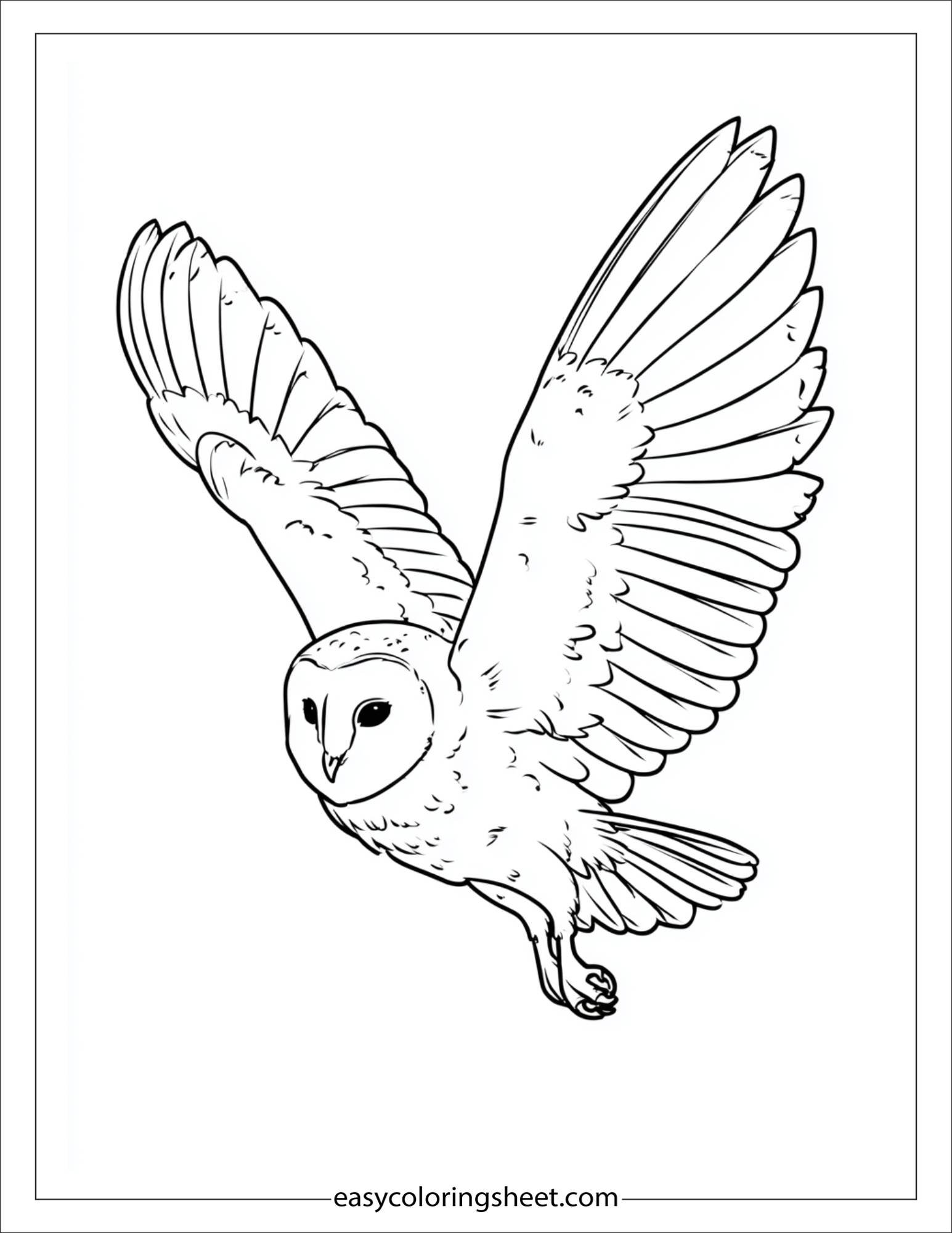 the wise owl flying gently