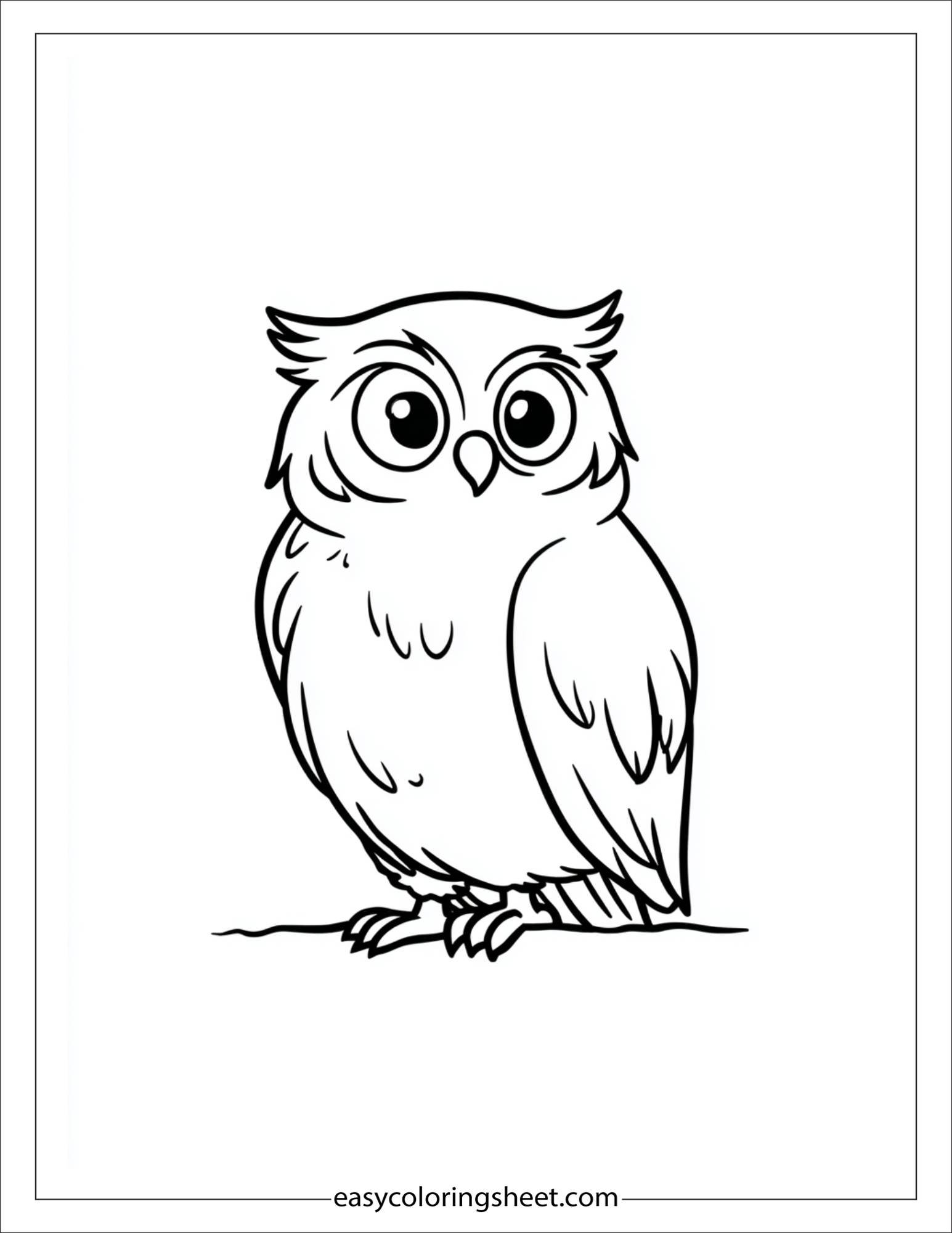 The wise owl looking curious