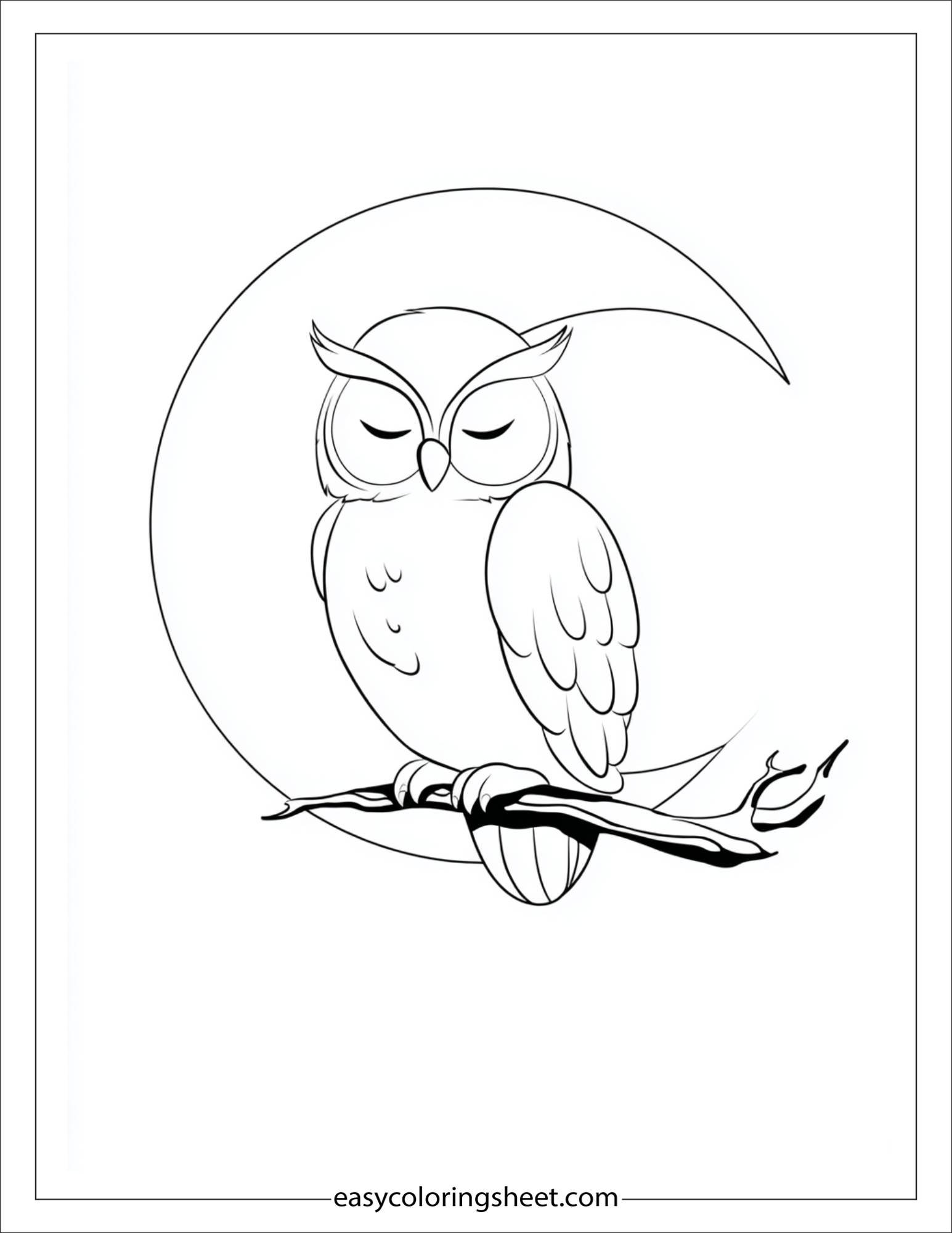 the wise owl sitting on moon