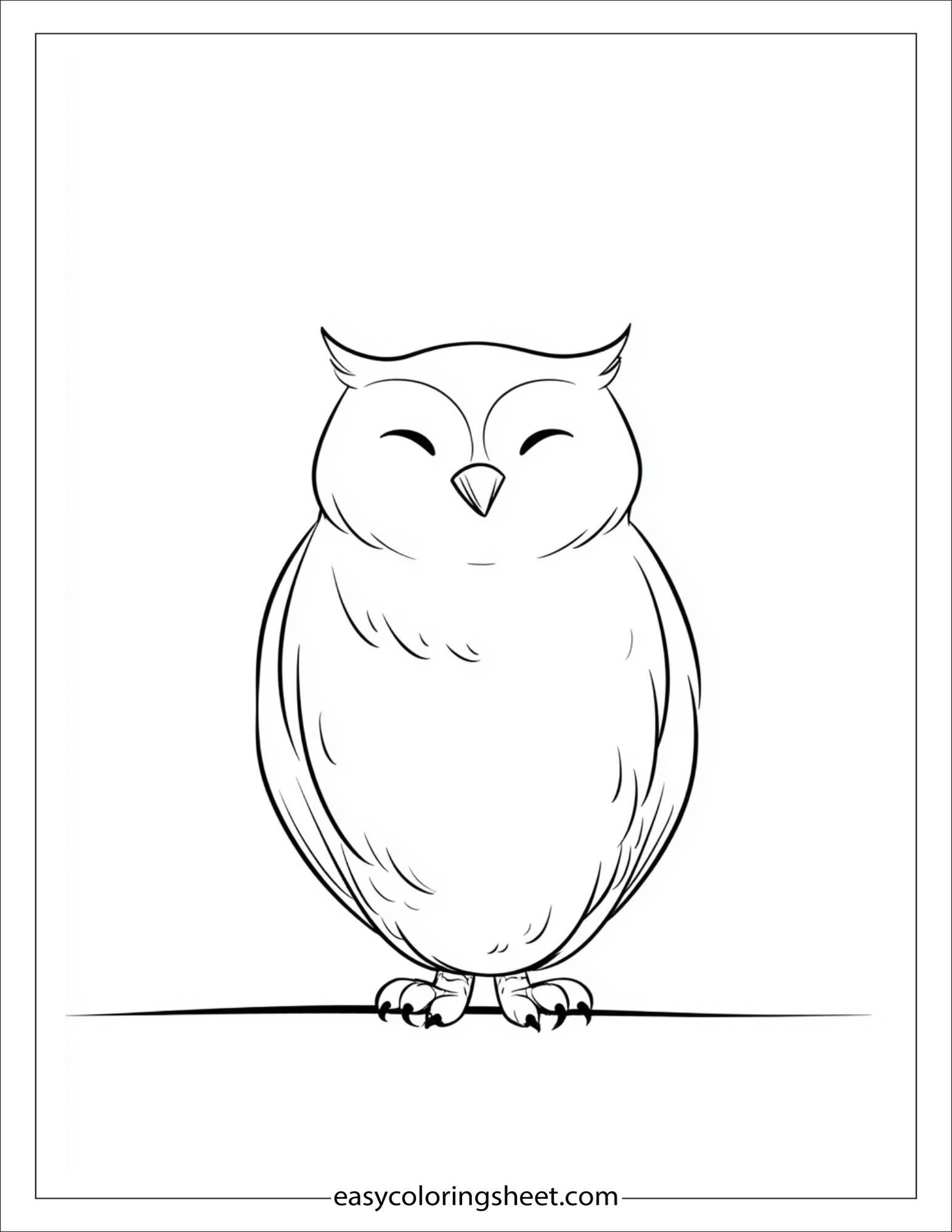 the wise owl smiling softly