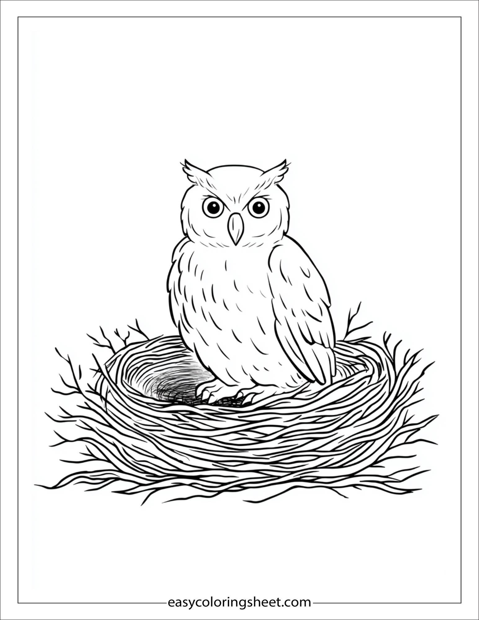 the wise owl standing in nest